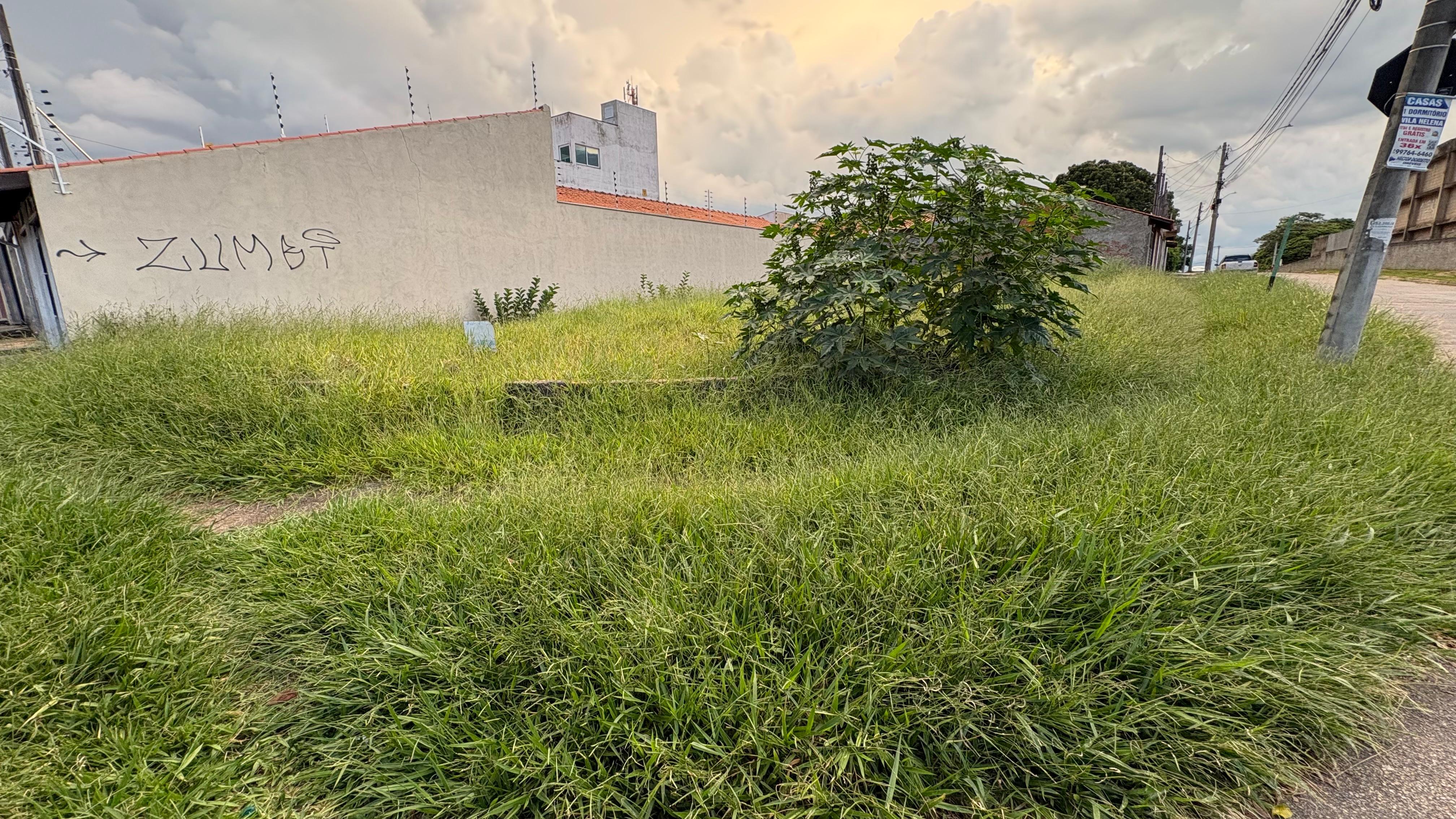 Imagem 1 da denúncia #VS-2026-46045