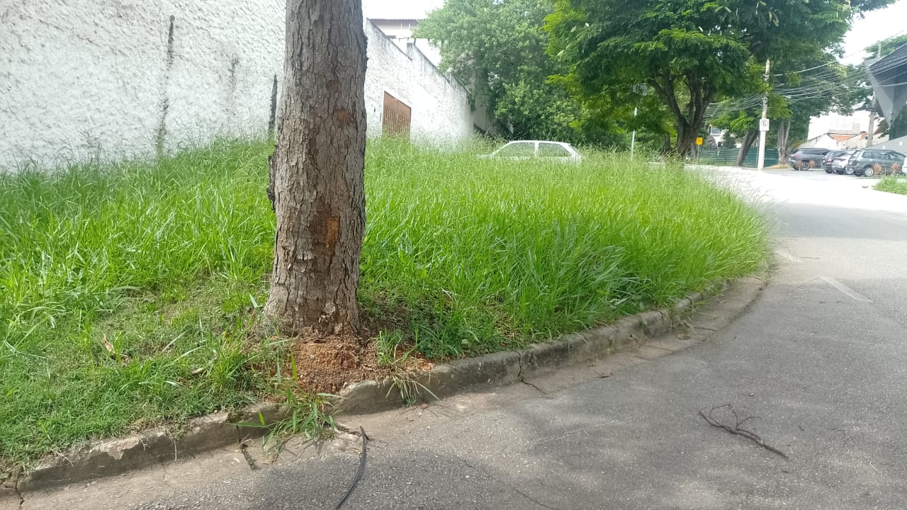 Imagem 1 da denúncia #VS-2026-46308