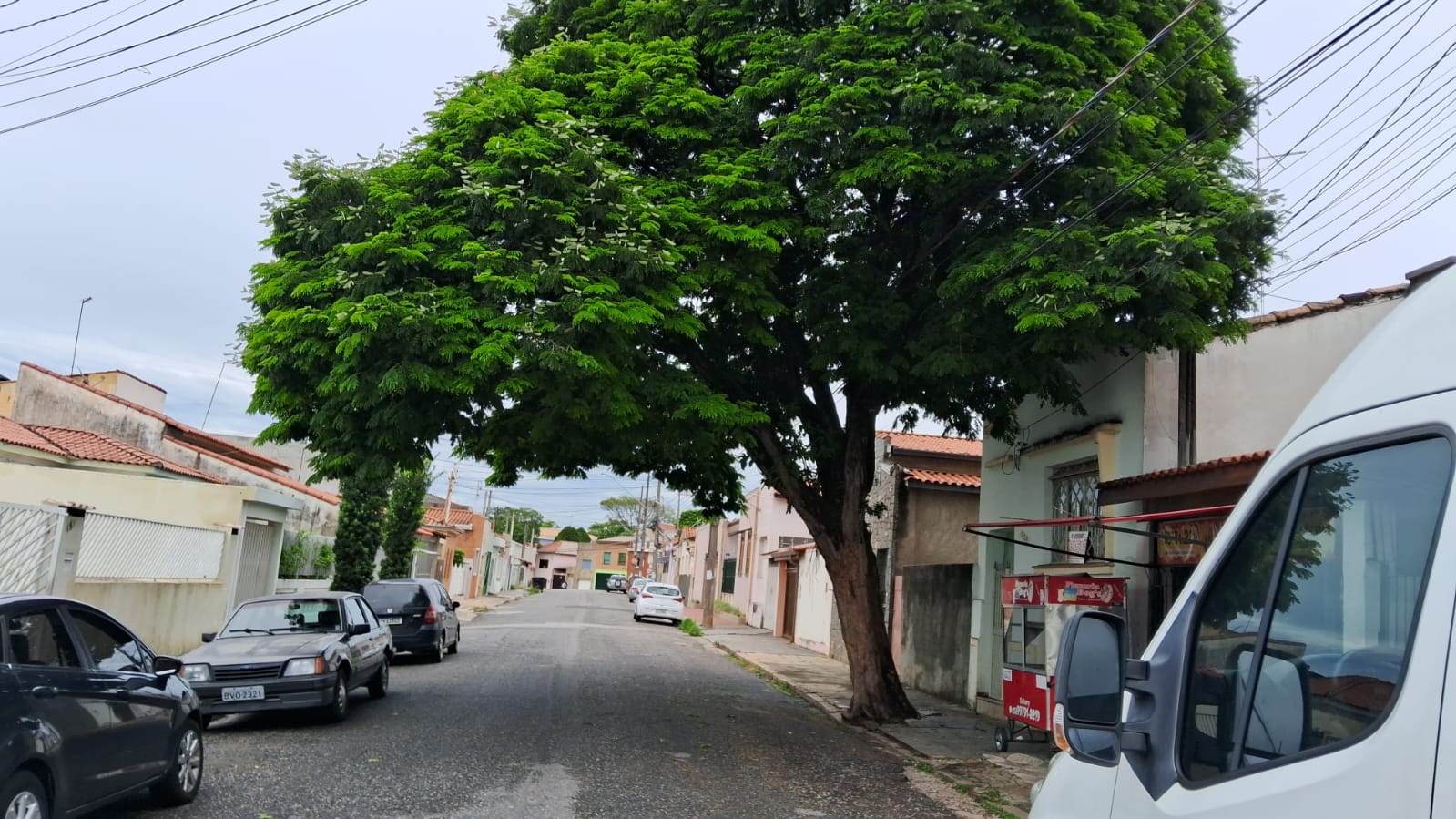 Imagem 1 da denúncia #VS-2026-46499