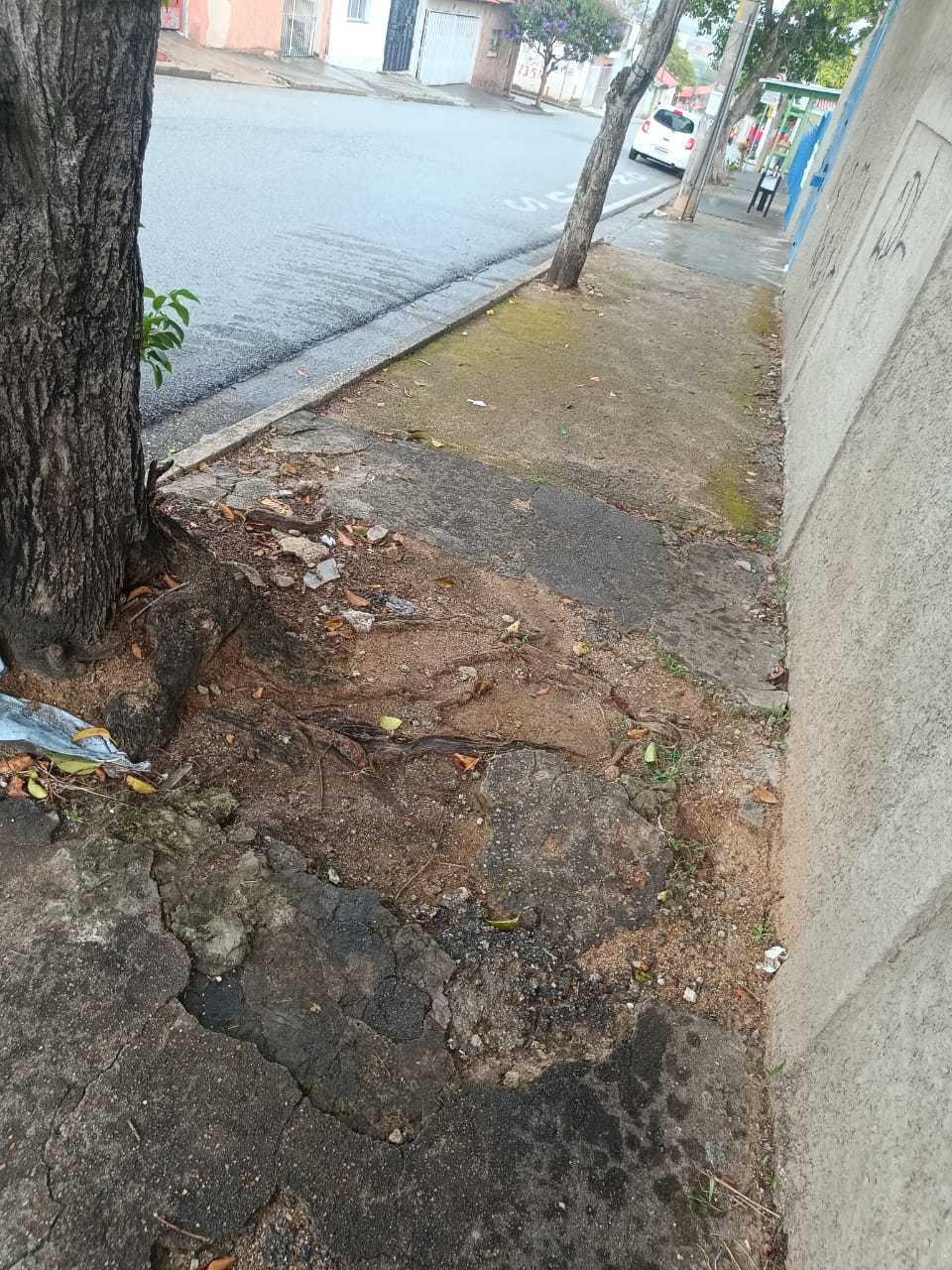 Imagem 2 da denúncia #VS-2026-46744