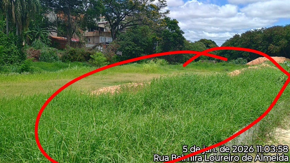 Imagem 1 da denúncia #VS-2026-46806