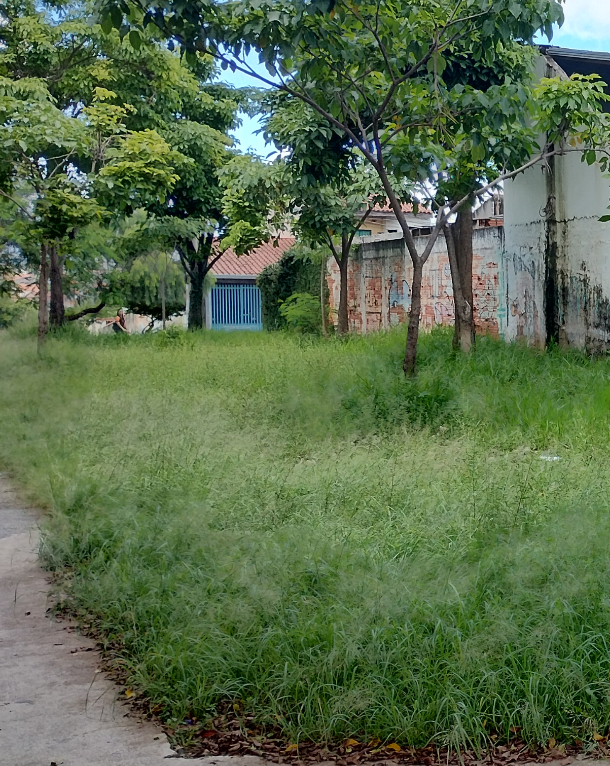 Imagem 1 da denúncia #VS-2026-47823