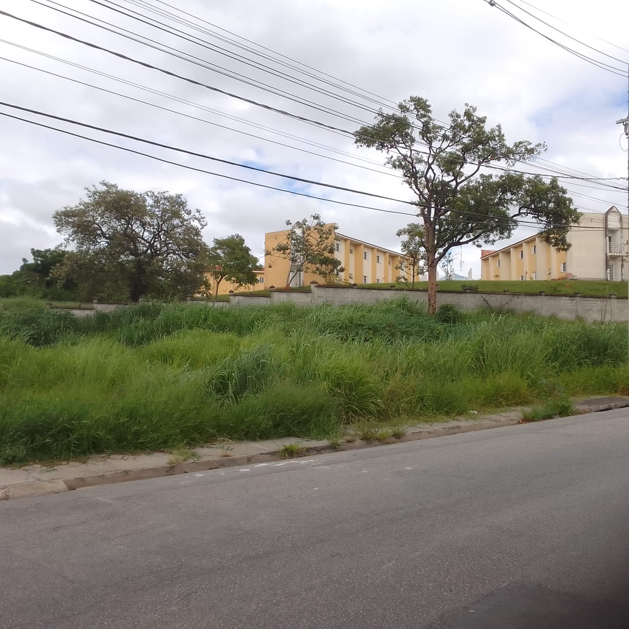 Imagem 1 da denúncia #VS-2026-47899