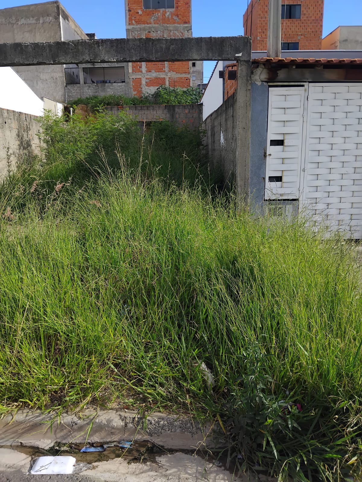 Imagem 2 da denúncia #VS-2026-47923