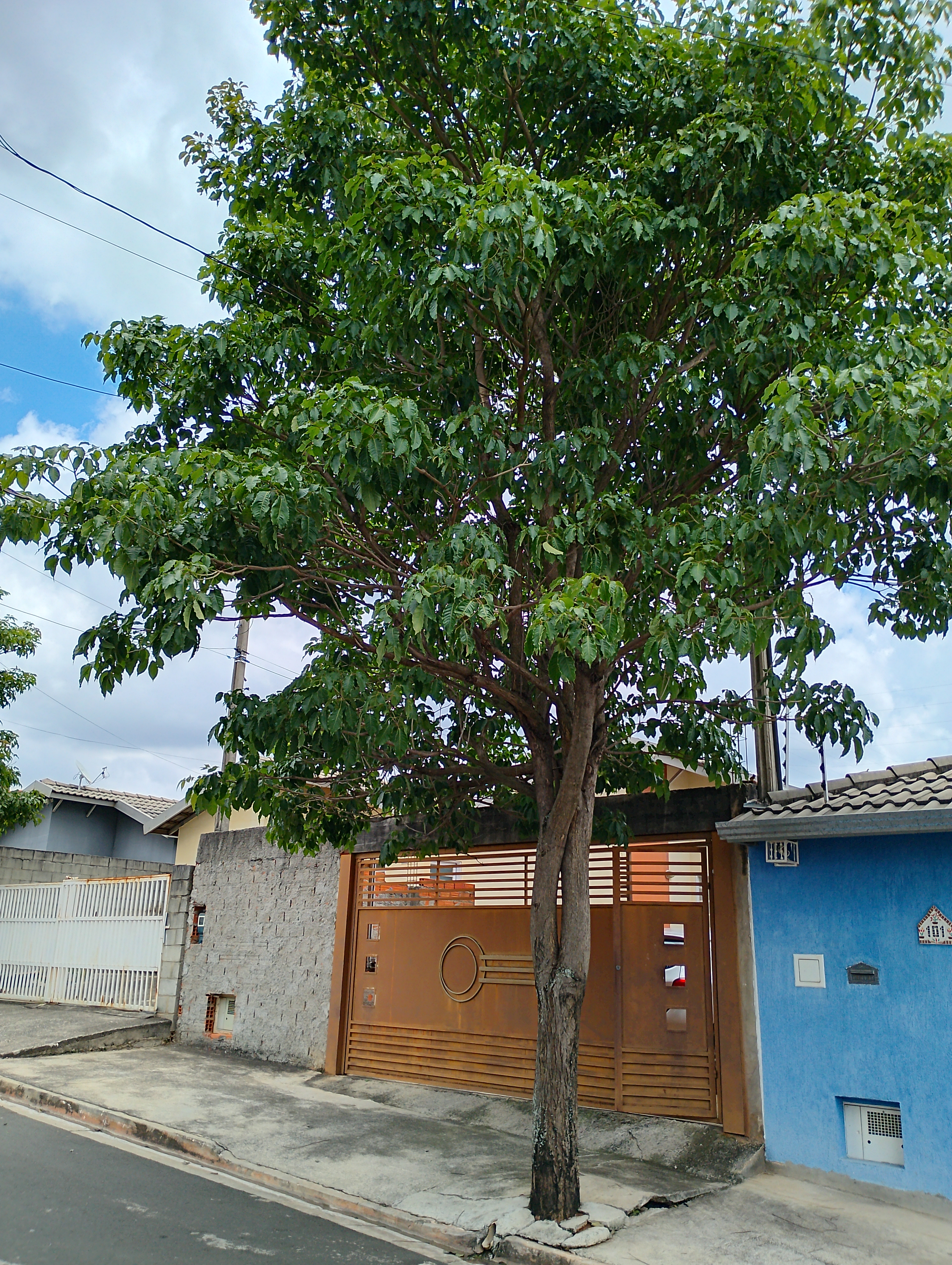 Imagem 1 da denúncia #VS-2026-48014