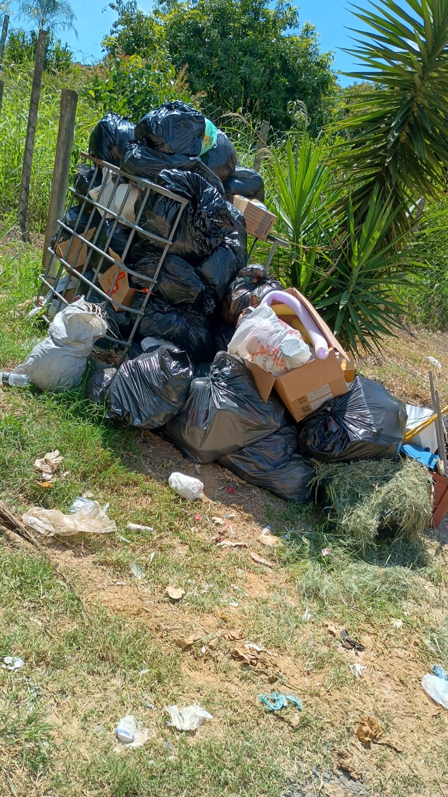Imagem 5 da denúncia #VS-2026-48110