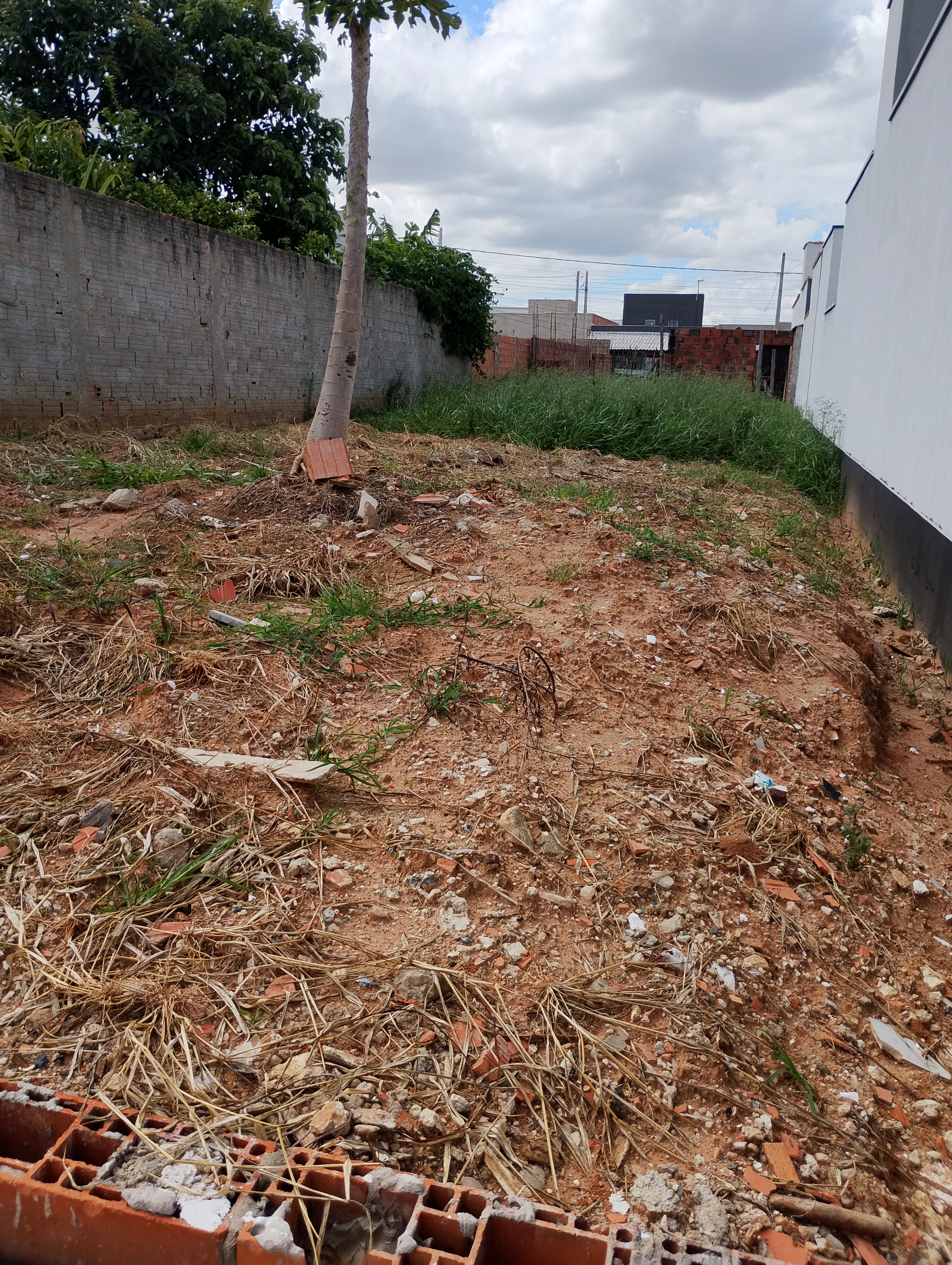 Imagem 1 da denúncia #VS-2026-48694