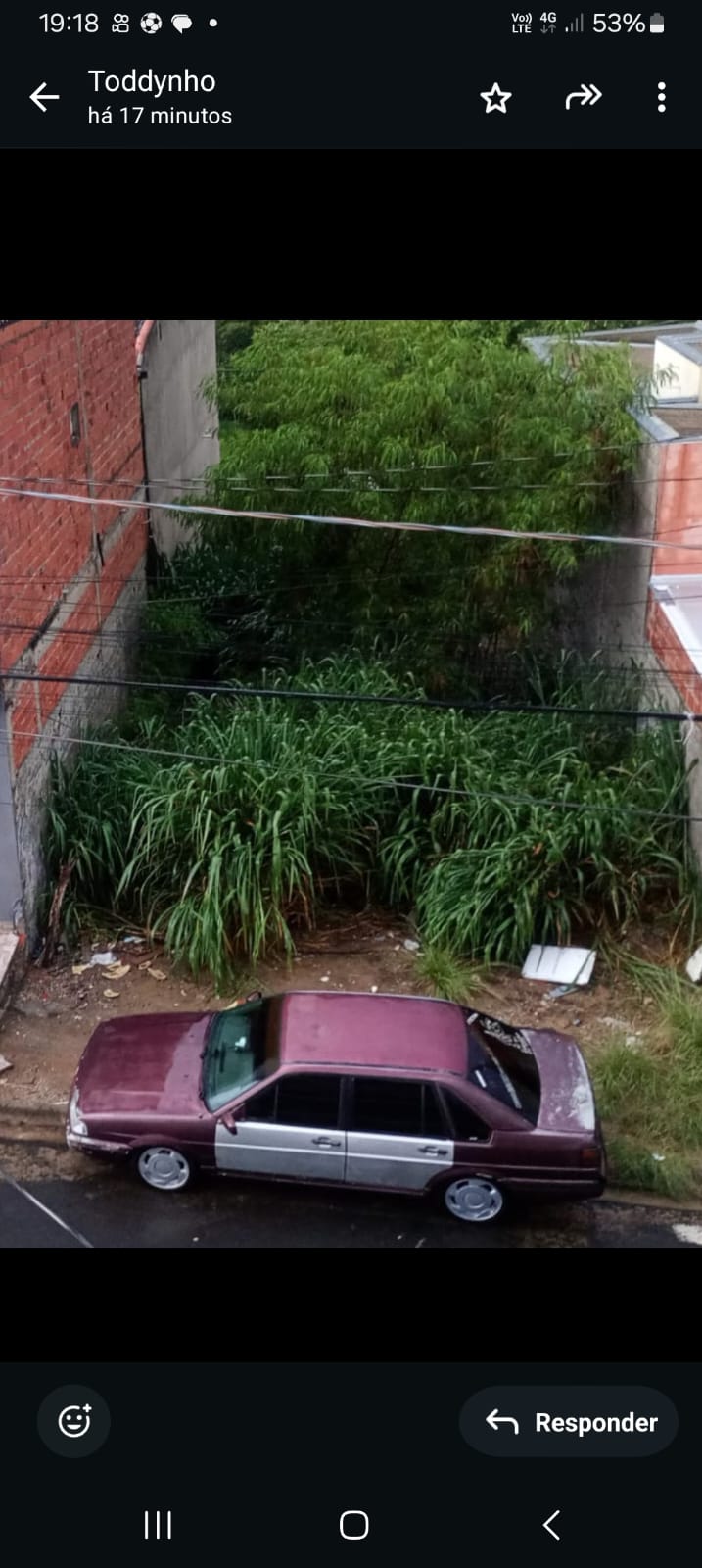 Imagem 1 da denúncia #VS-2026-48724