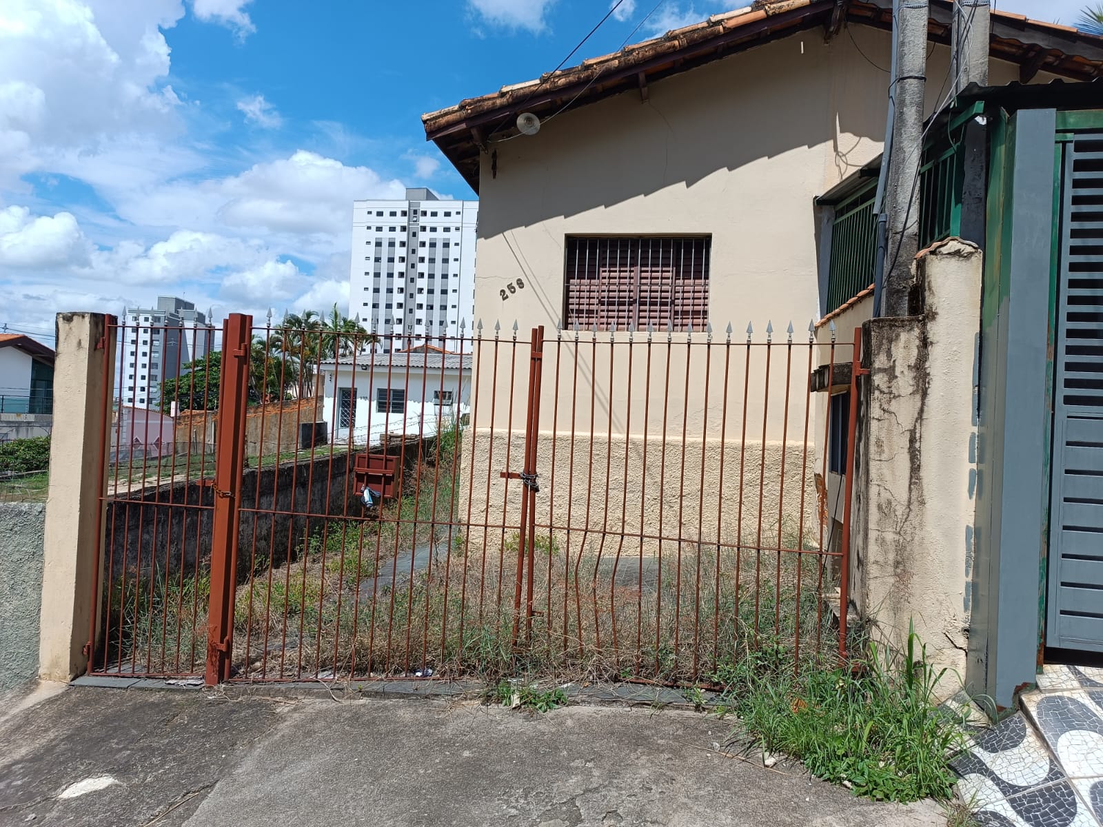 Imagem 5 da denúncia #VS-2026-48905