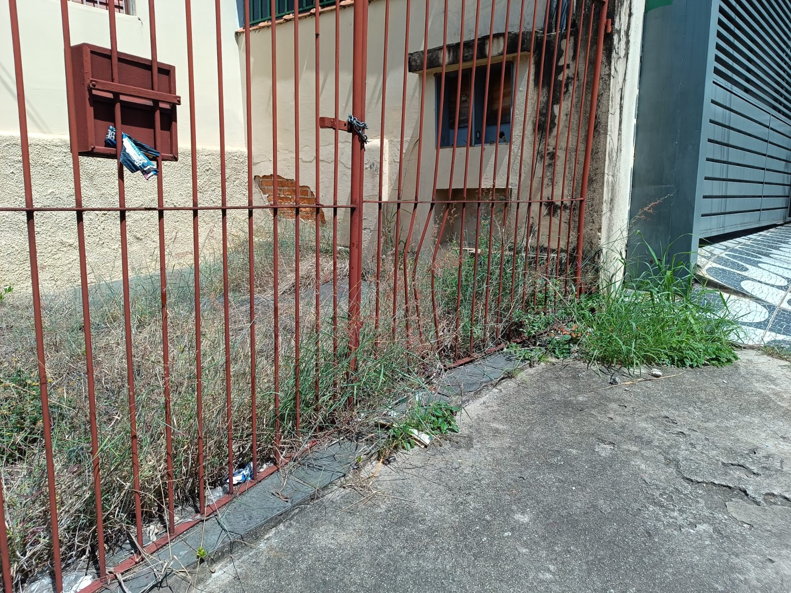 Imagem 3 da denúncia #VS-2026-48905