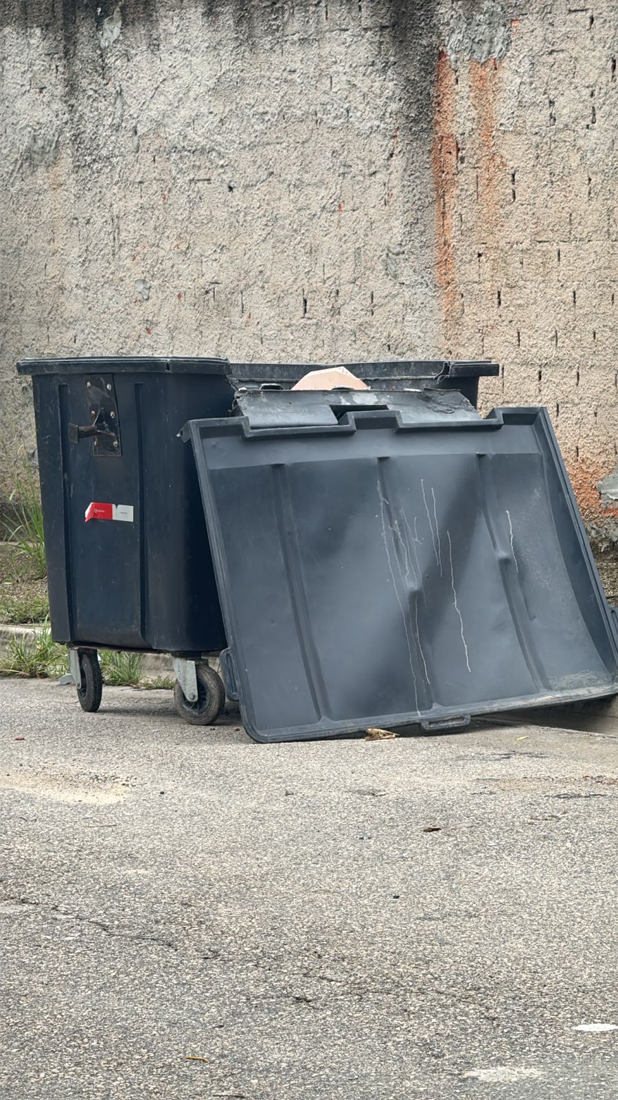 Imagem 1 da denúncia #VS-2026-48987