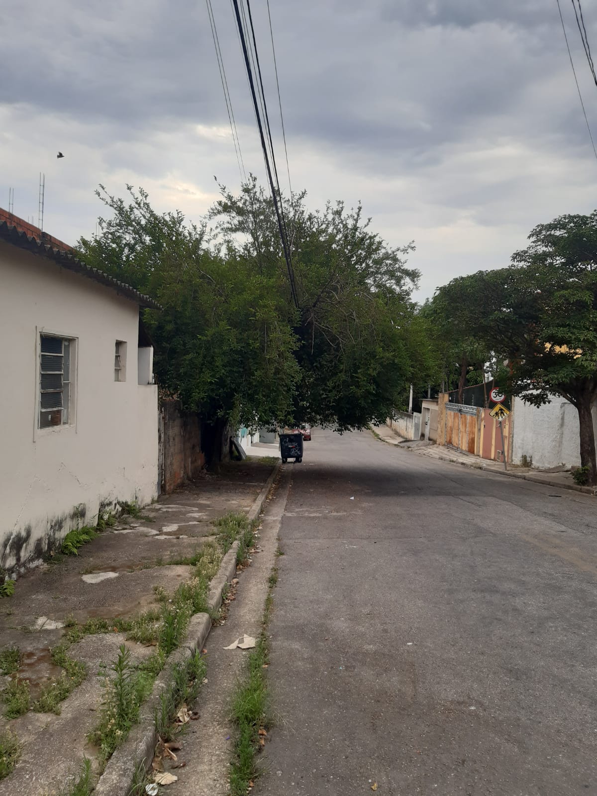 Imagem 1 da denúncia #VS-2026-49442