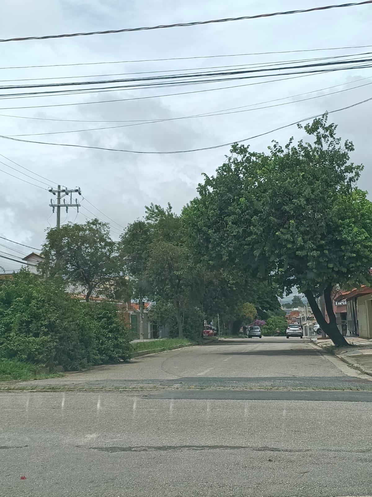 Imagem 3 da denúncia #VS-2026-50012