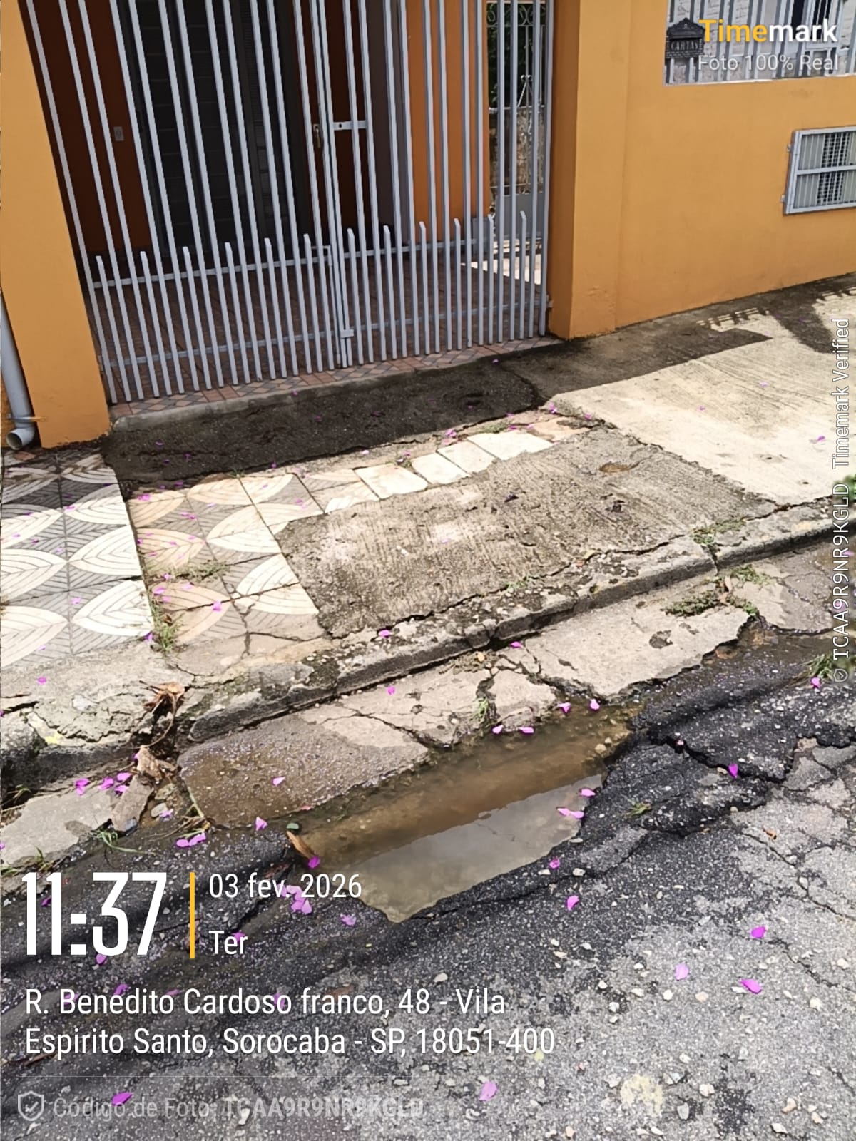 Imagem 1 da denúncia #VS-2026-50088