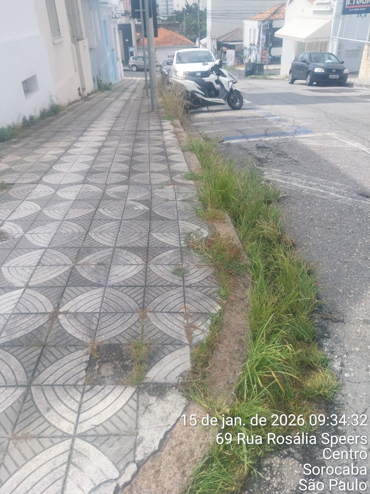 Imagem 2 da denúncia #VS-2026-50593