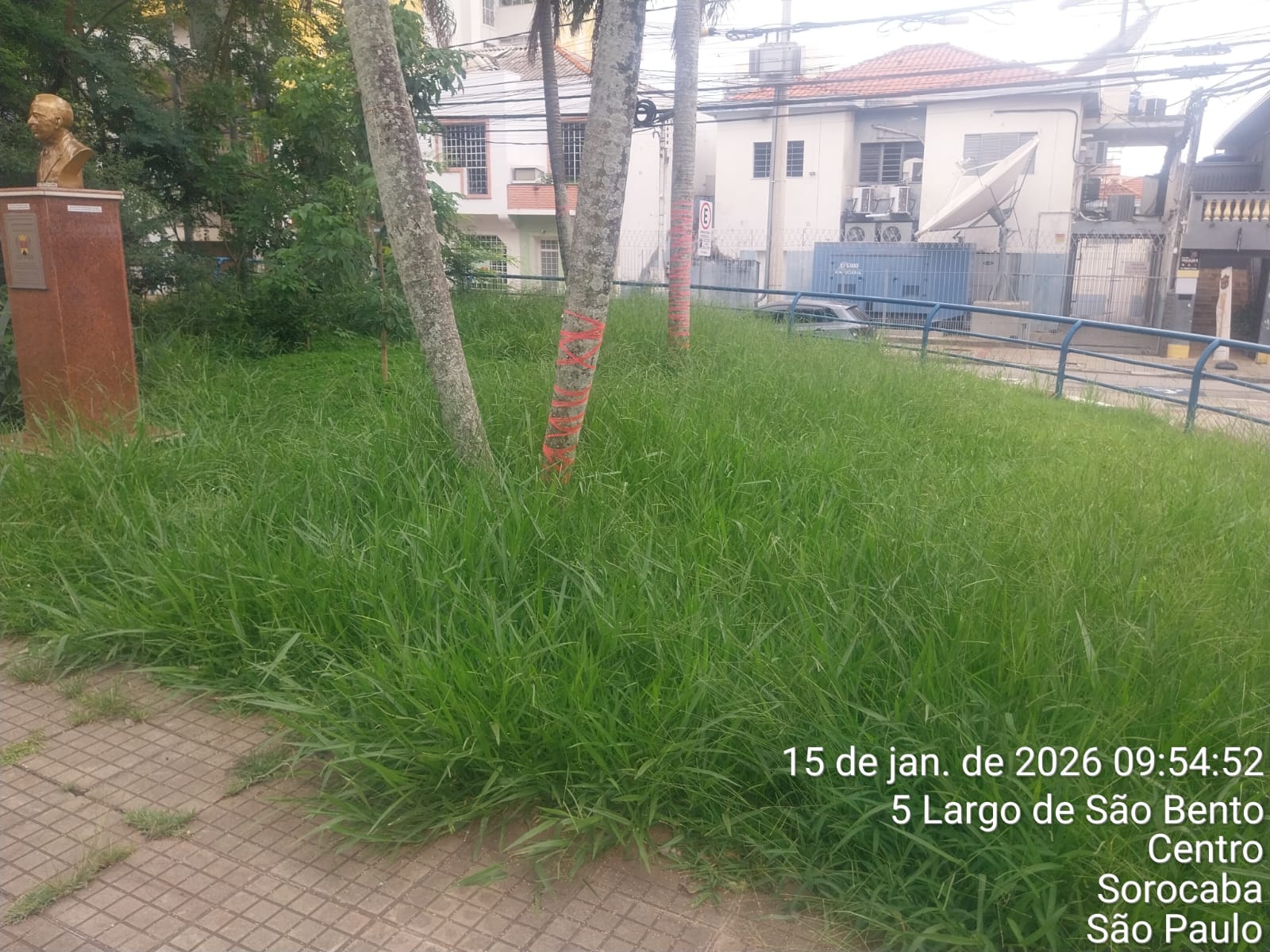 Imagem 3 da denúncia #VS-2026-50622
