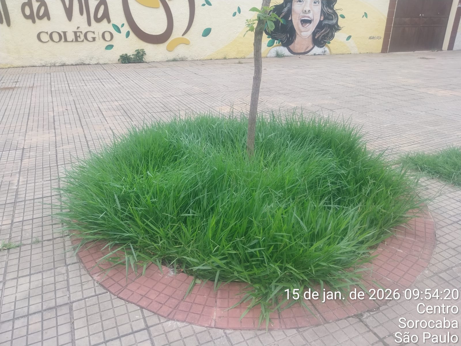 Imagem 2 da denúncia #VS-2026-50622
