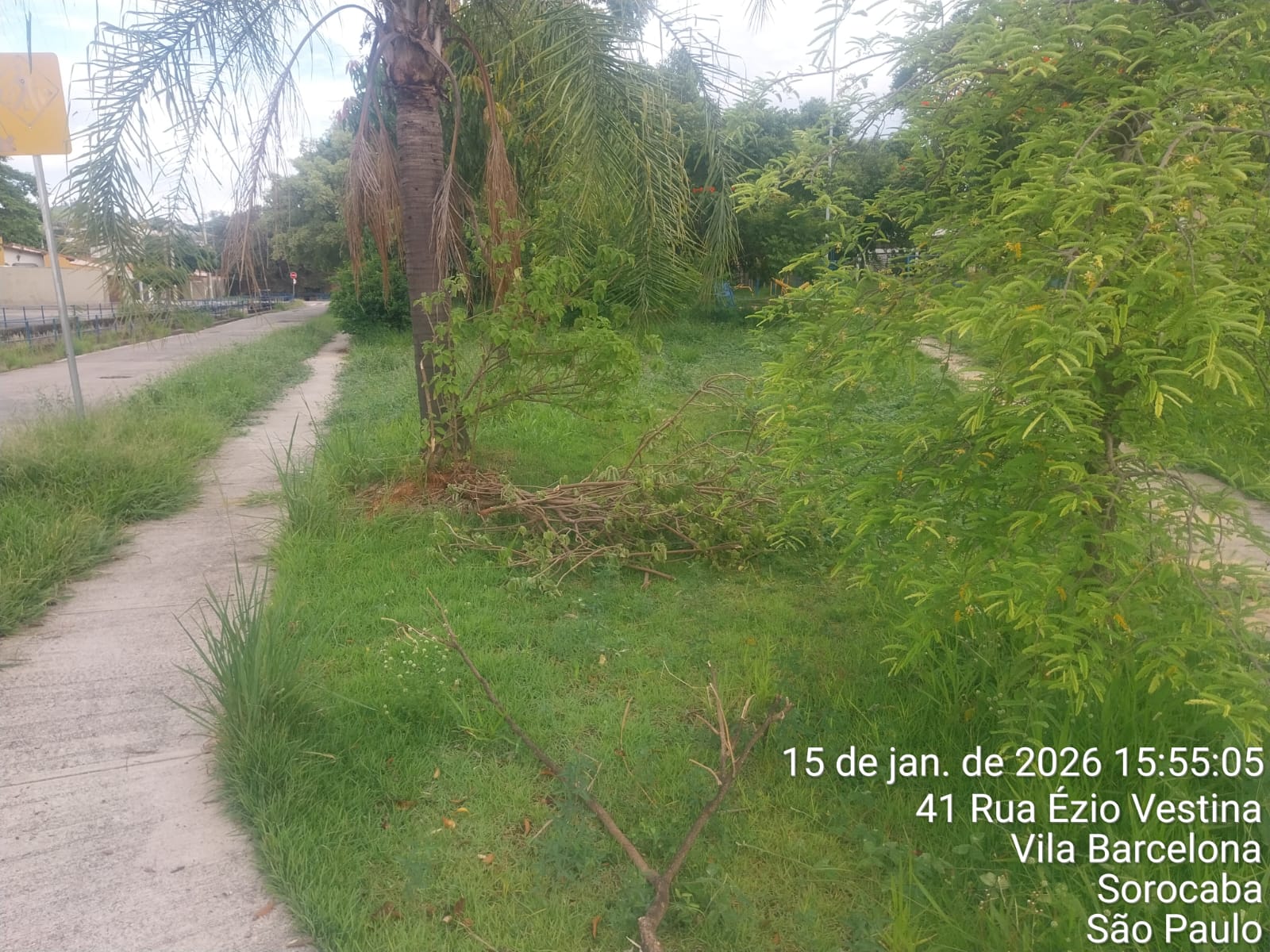 Imagem 1 da denúncia #VS-2026-50643