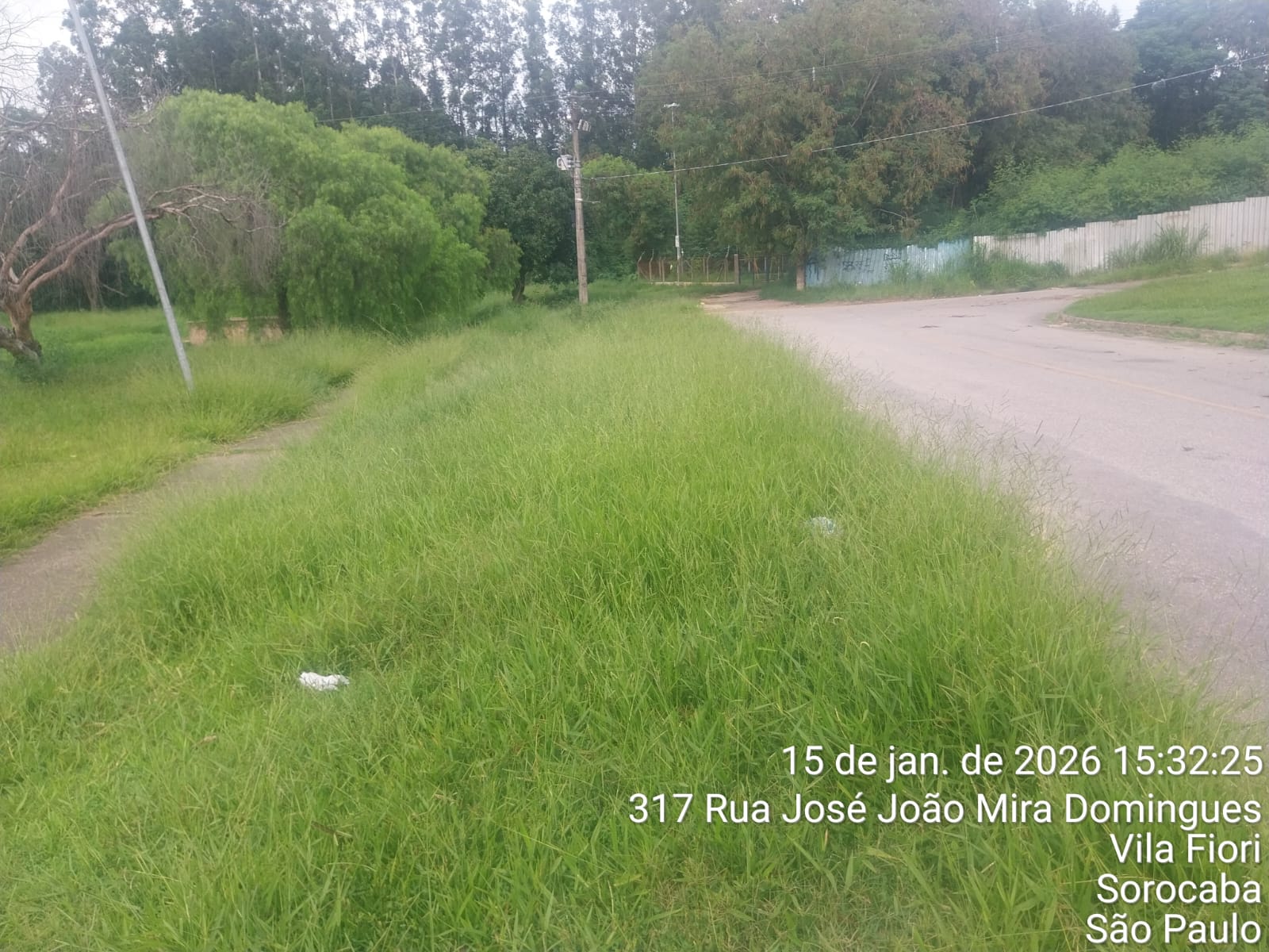 Imagem 1 da denúncia #VS-2026-50648