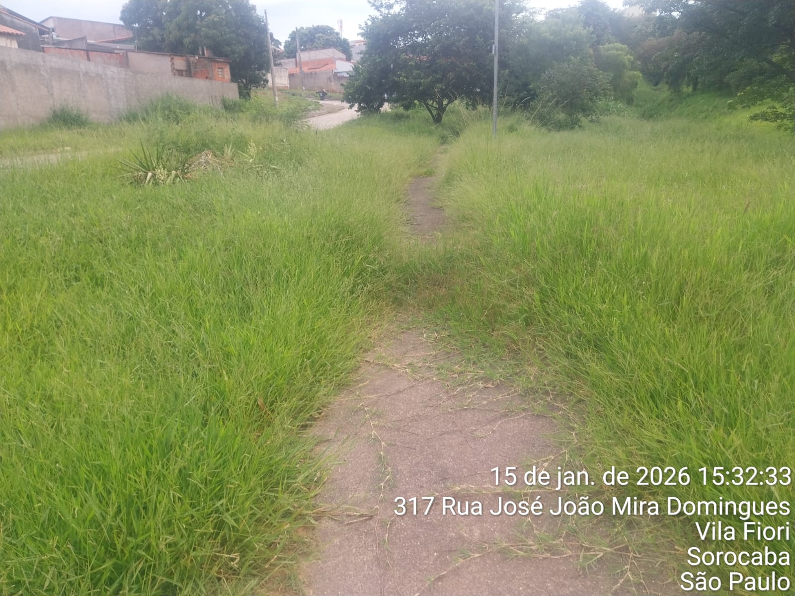 Imagem 2 da denúncia #VS-2026-50648