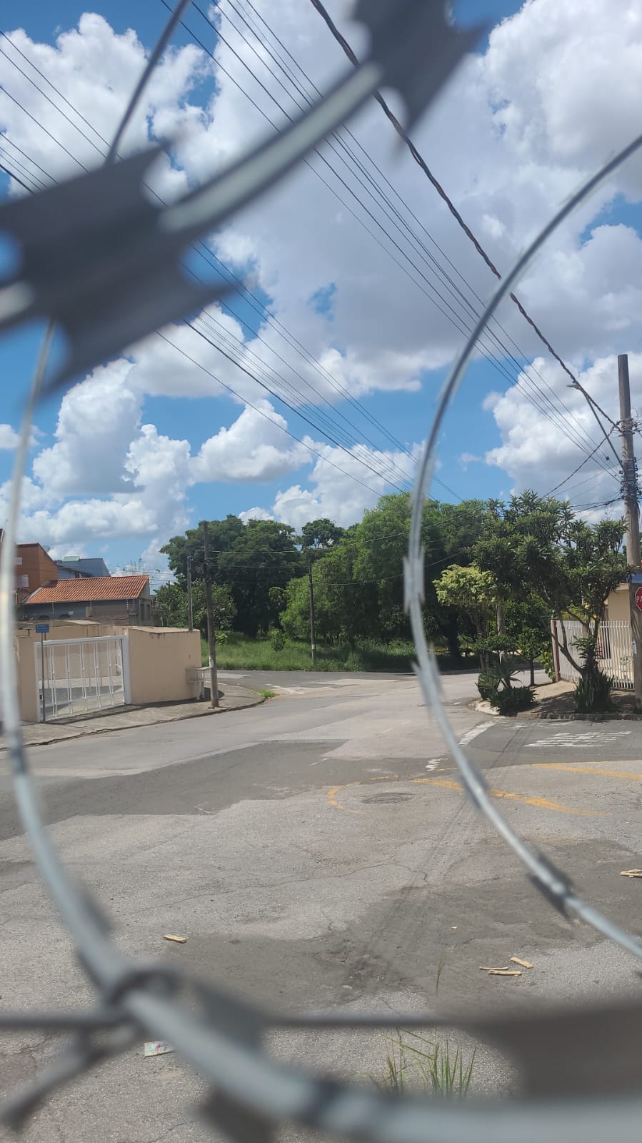 Imagem 2 da denúncia #VS-2026-50678