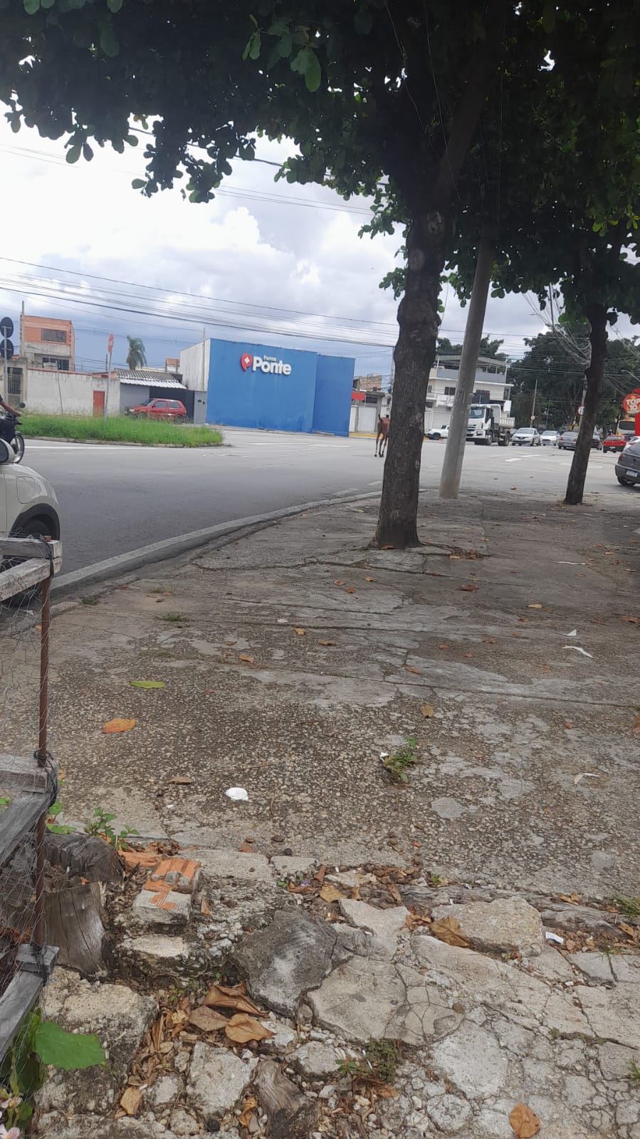 Imagem 1 da denúncia #VS-2026-50741