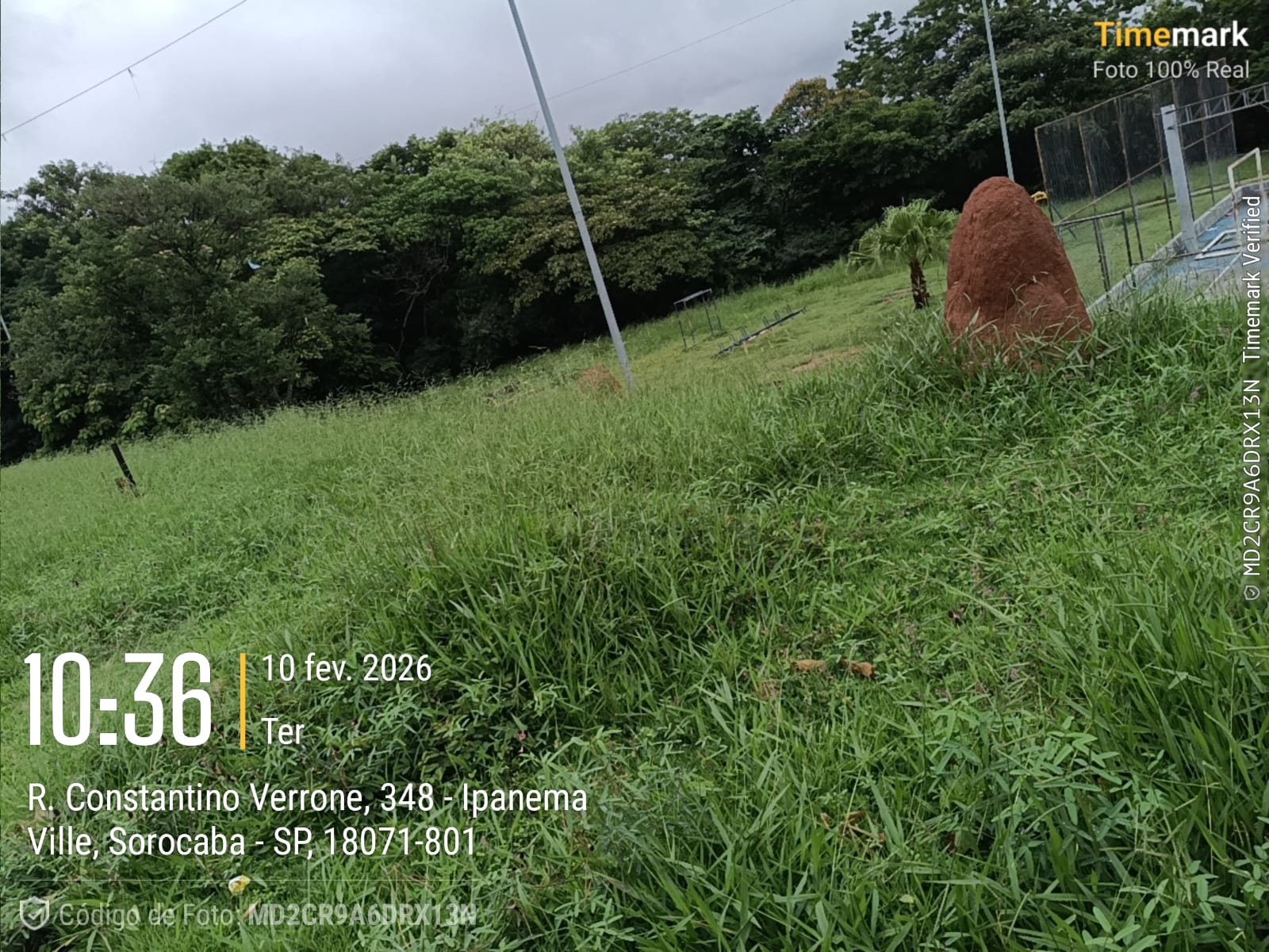 Imagem 2 da denúncia #VS-2026-51072