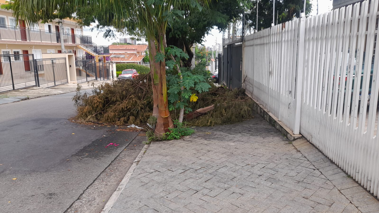 Imagem 1 da denúncia #VS-2026-51094