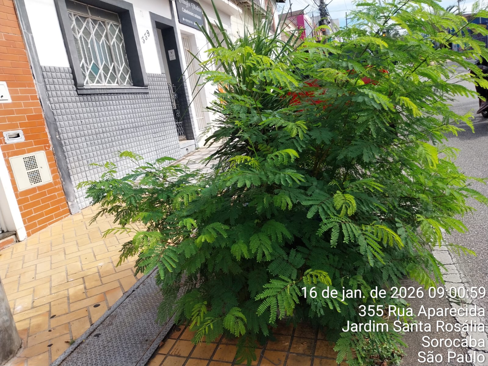 Imagem 1 da denúncia #VS-2026-51123