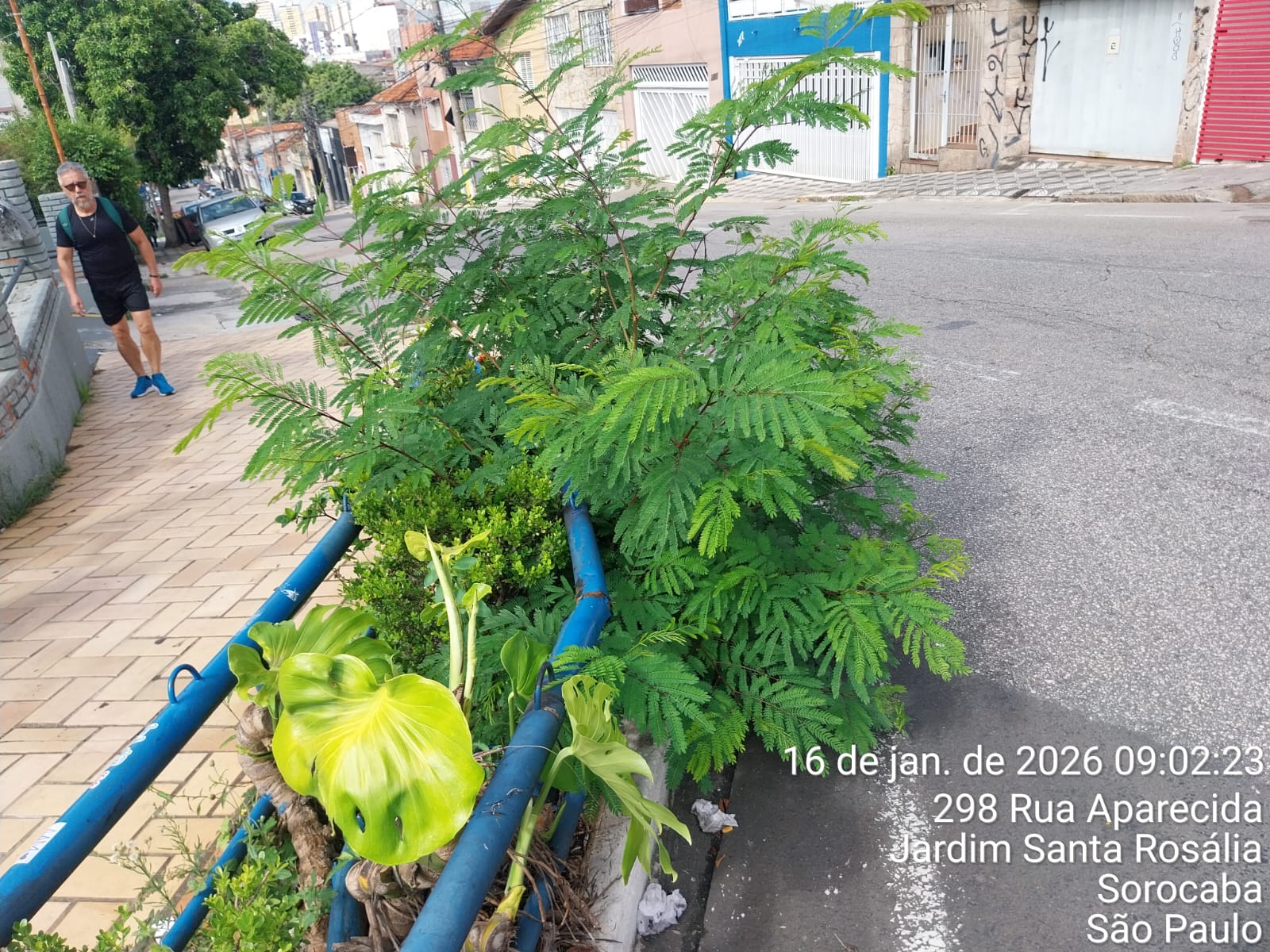 Imagem 2 da denúncia #VS-2026-51123