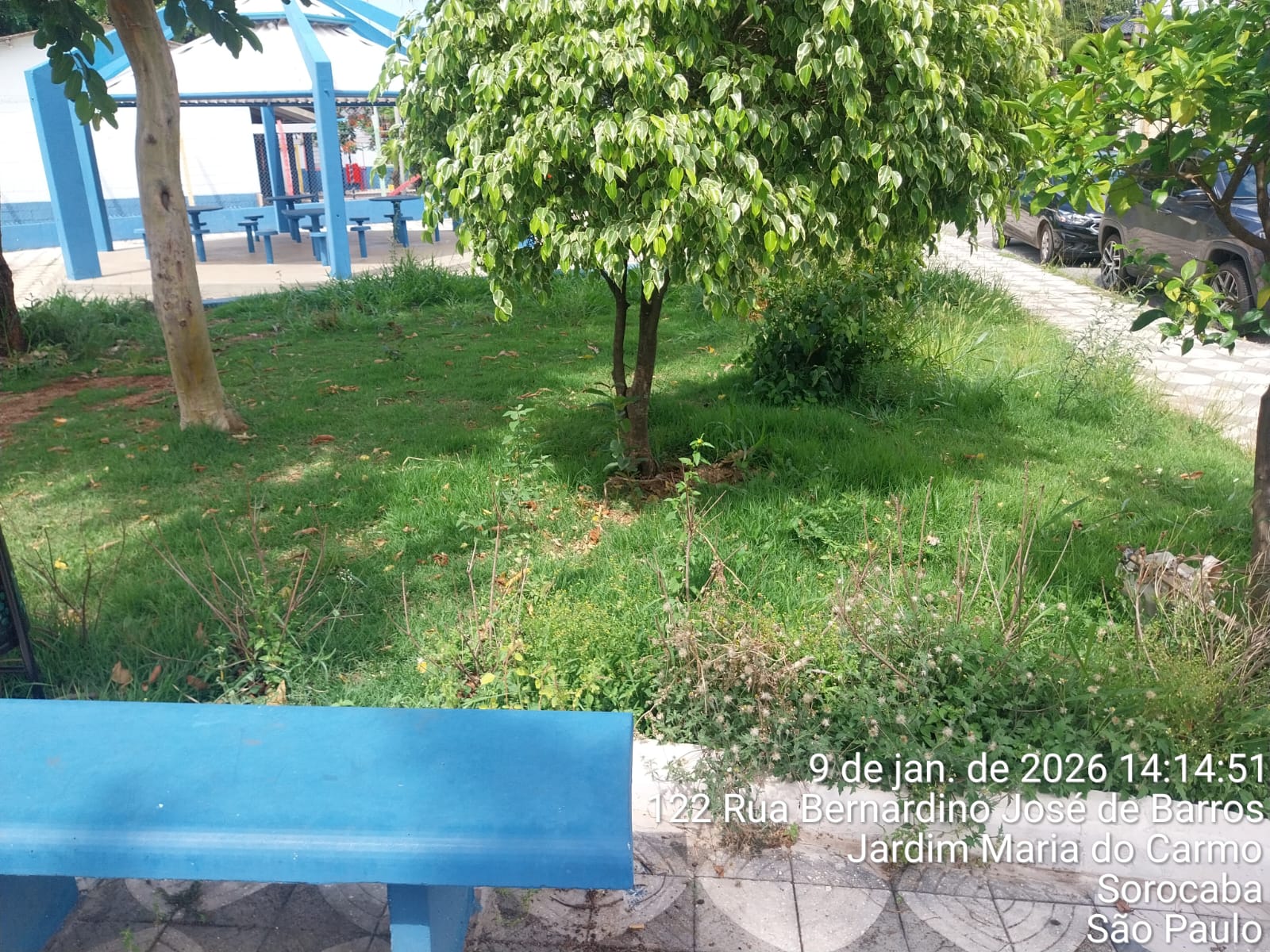 Imagem 1 da denúncia #VS-2026-51247