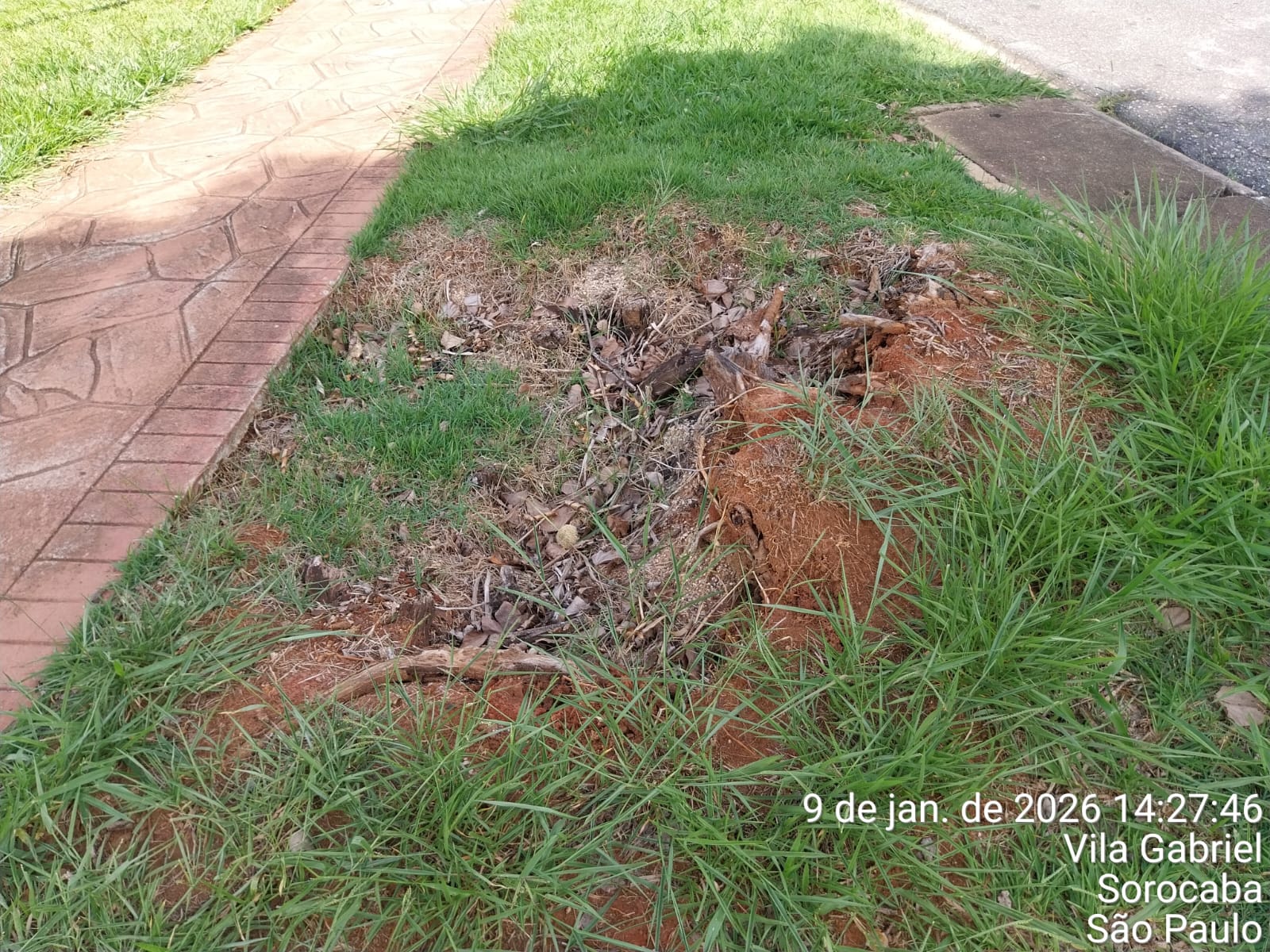 Imagem 2 da denúncia #VS-2026-51277