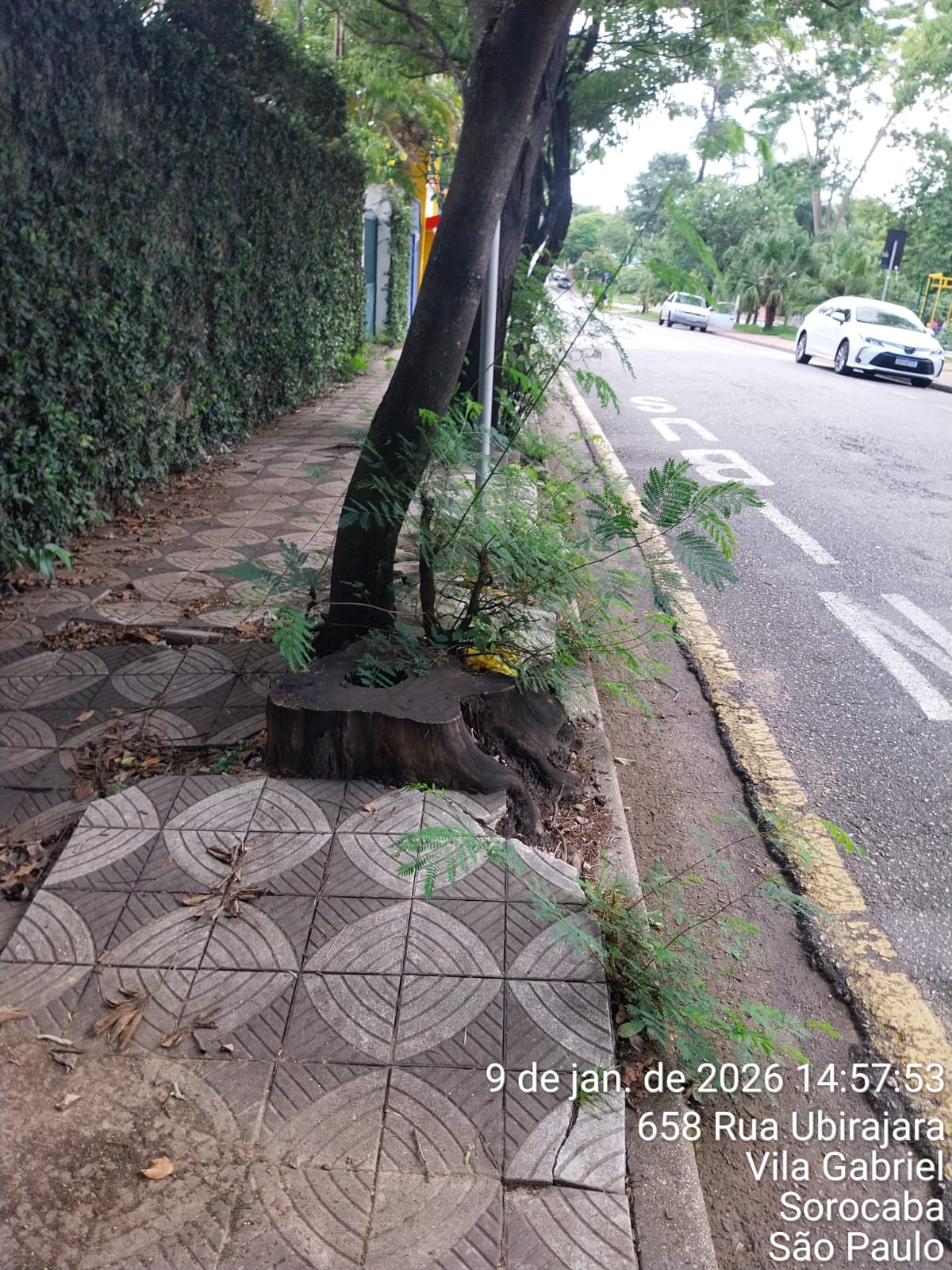 Imagem 1 da denúncia #VS-2026-51374