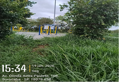 Imagem 2 da denúncia #VS-2026-51395