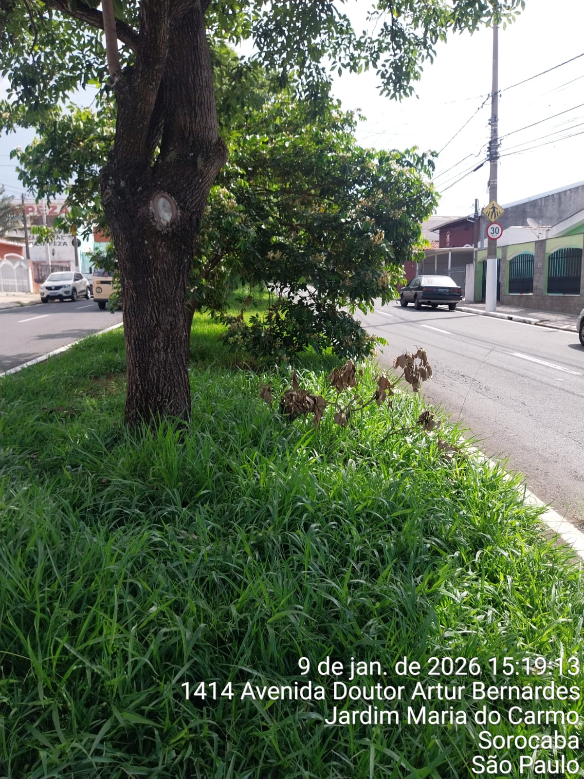 Imagem 2 da denúncia #VS-2026-51401