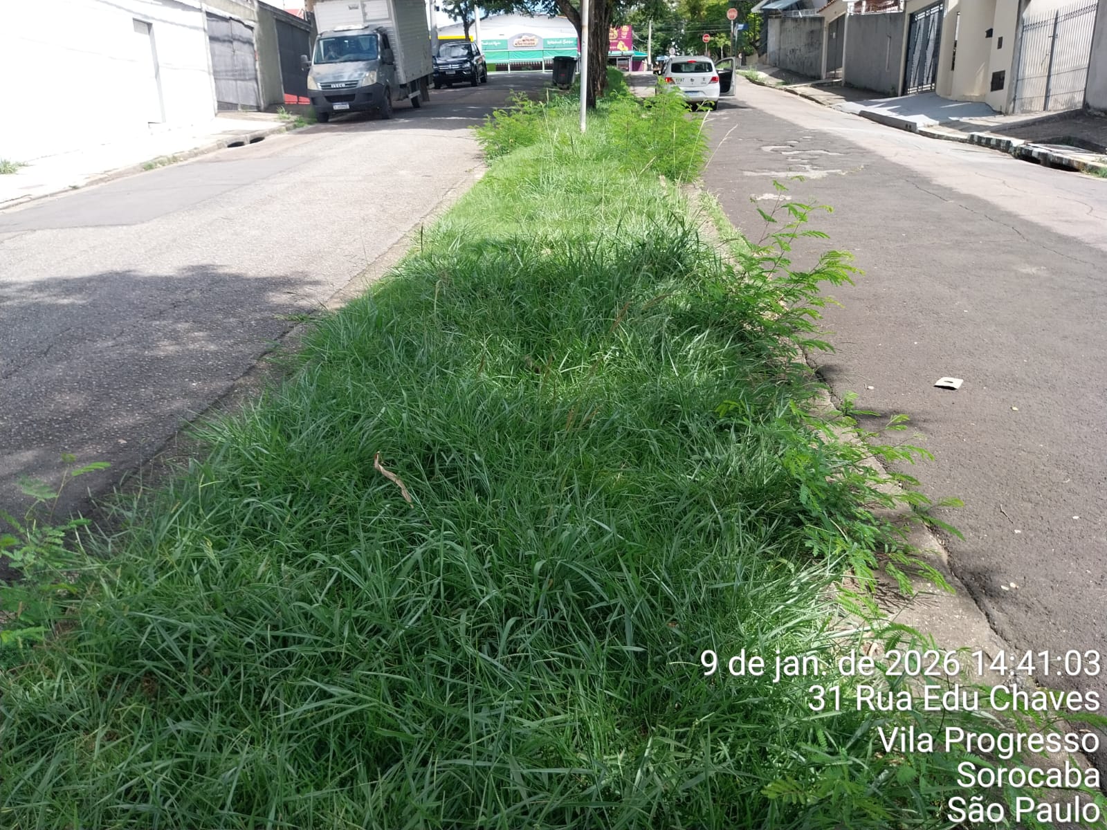 Imagem 2 da denúncia #VS-2026-51414