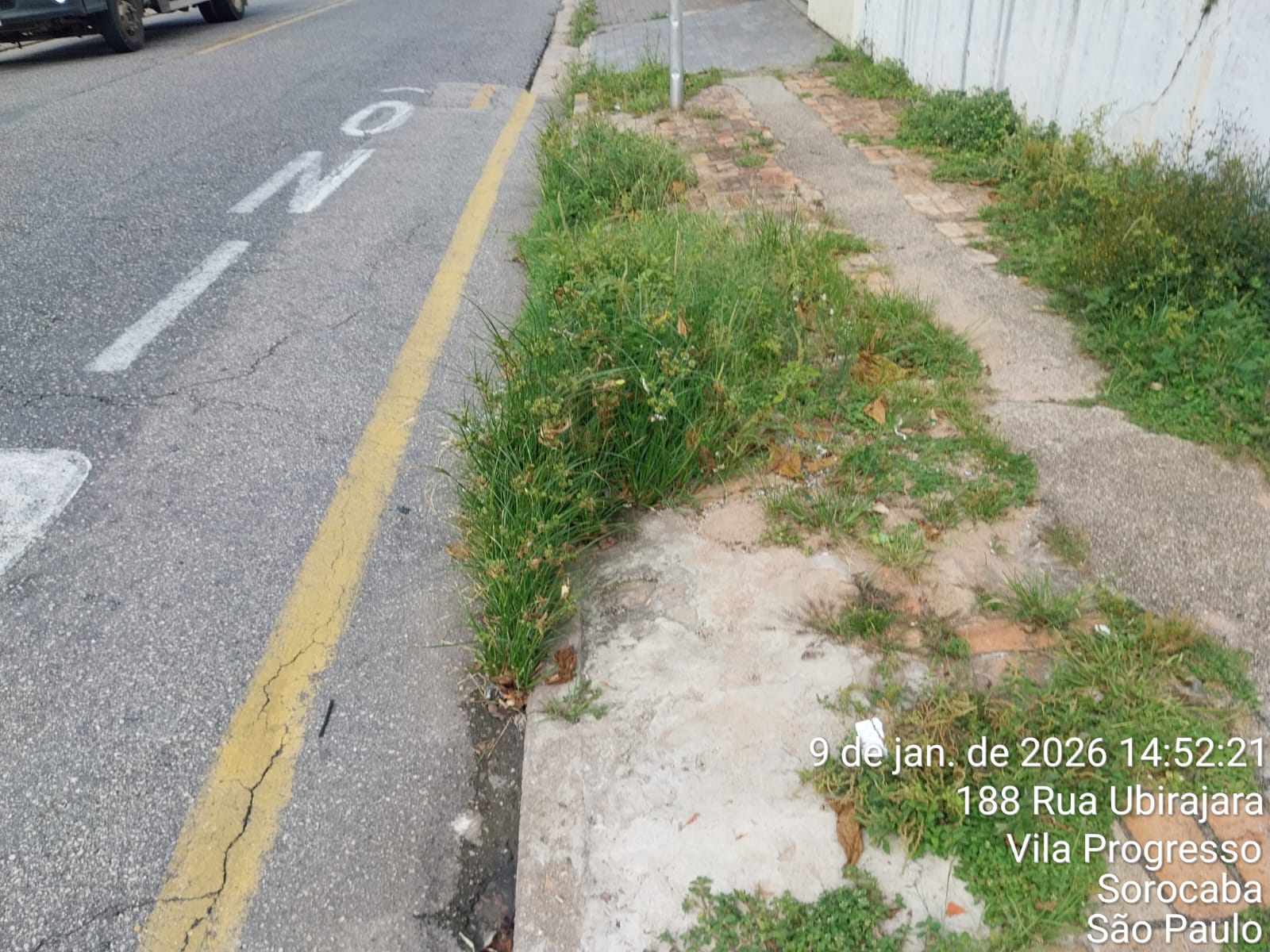 Imagem 2 da denúncia #VS-2026-51501