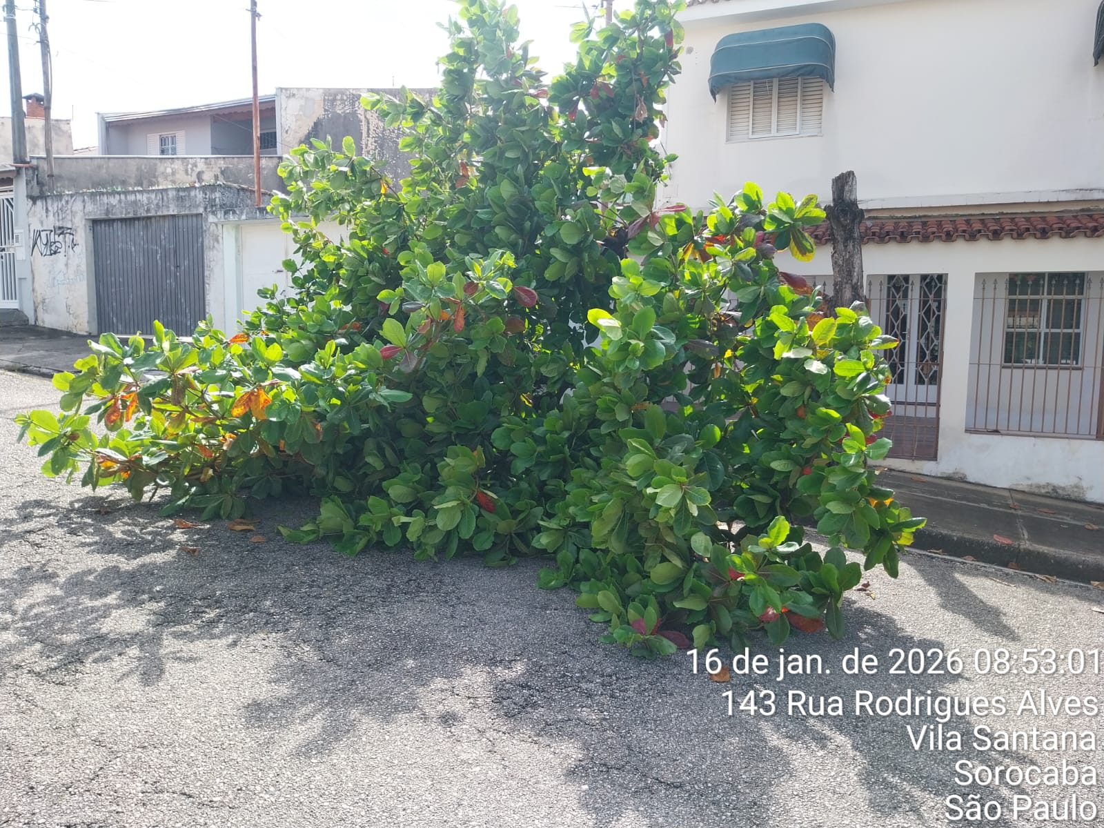 Imagem 4 da denúncia #VS-2026-51546