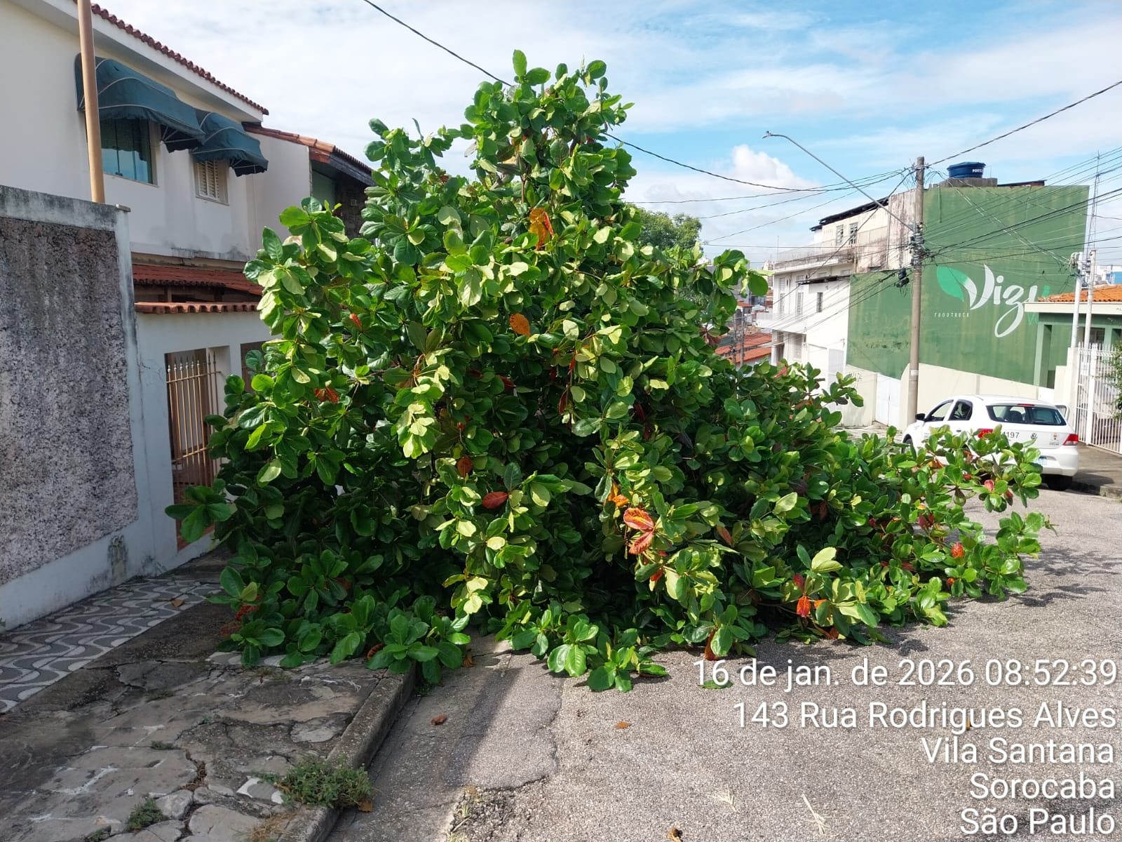 Imagem 2 da denúncia #VS-2026-51546