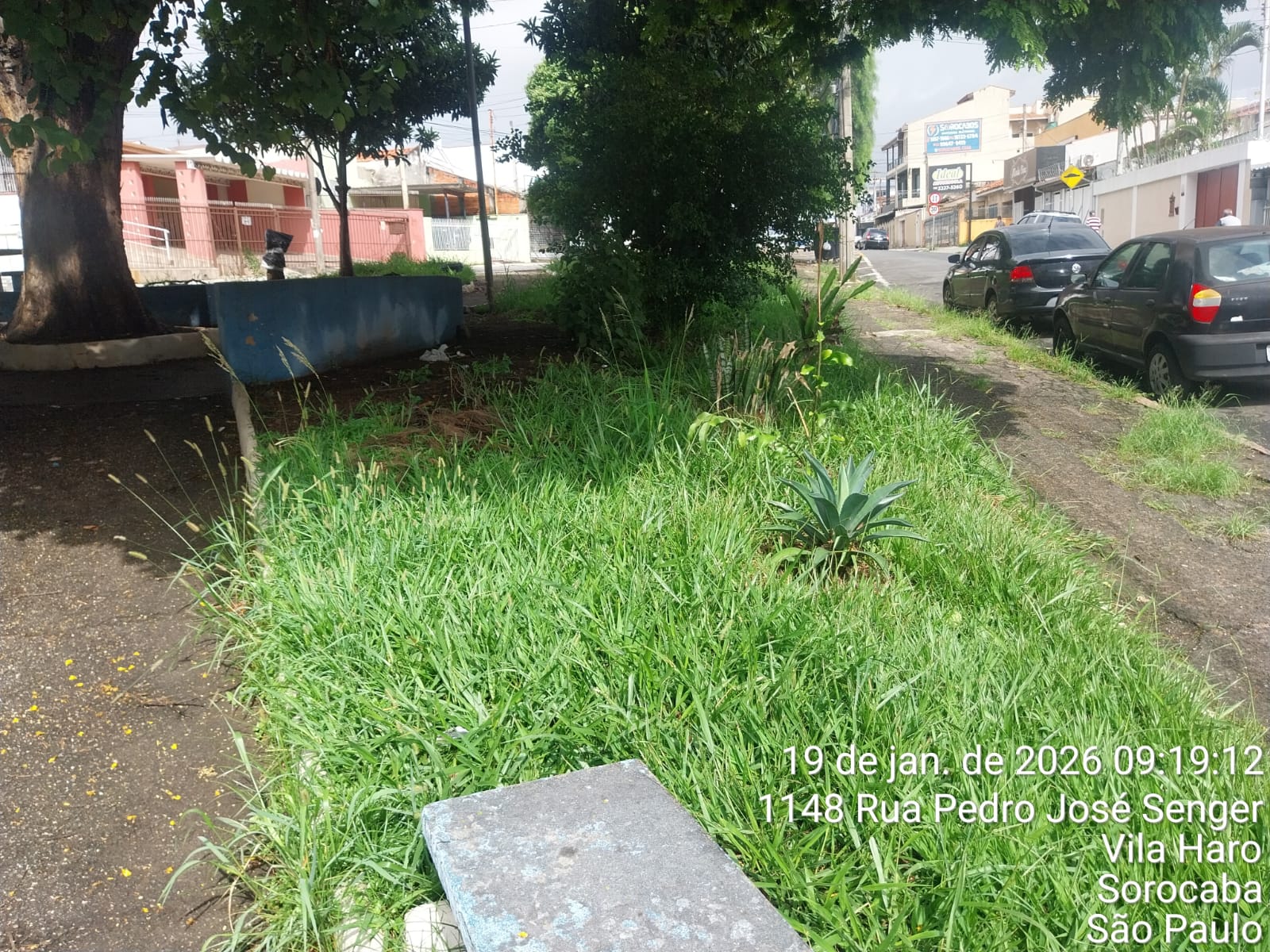 Imagem 1 da denúncia #VS-2026-52025