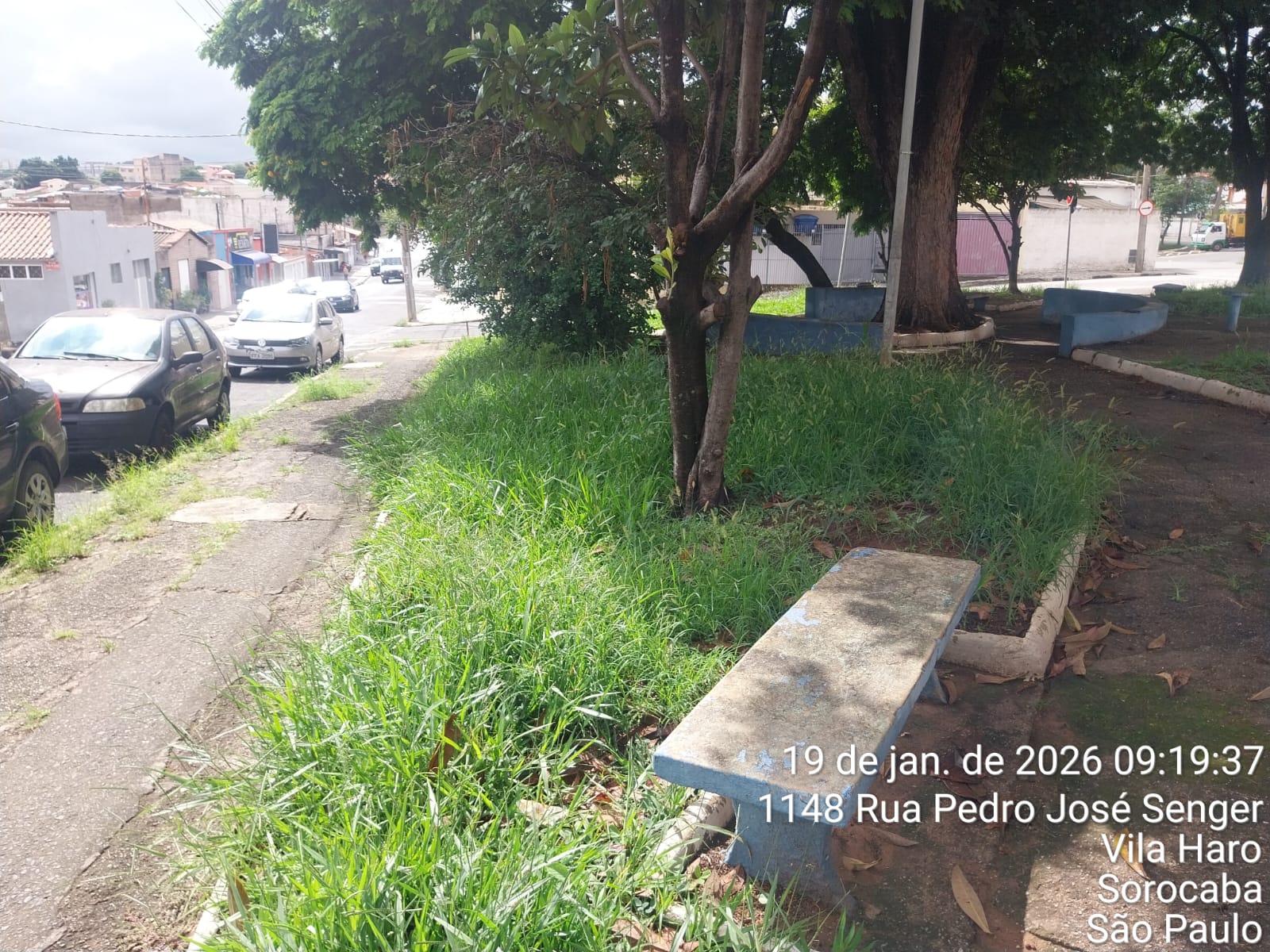 Imagem 3 da denúncia #VS-2026-52025