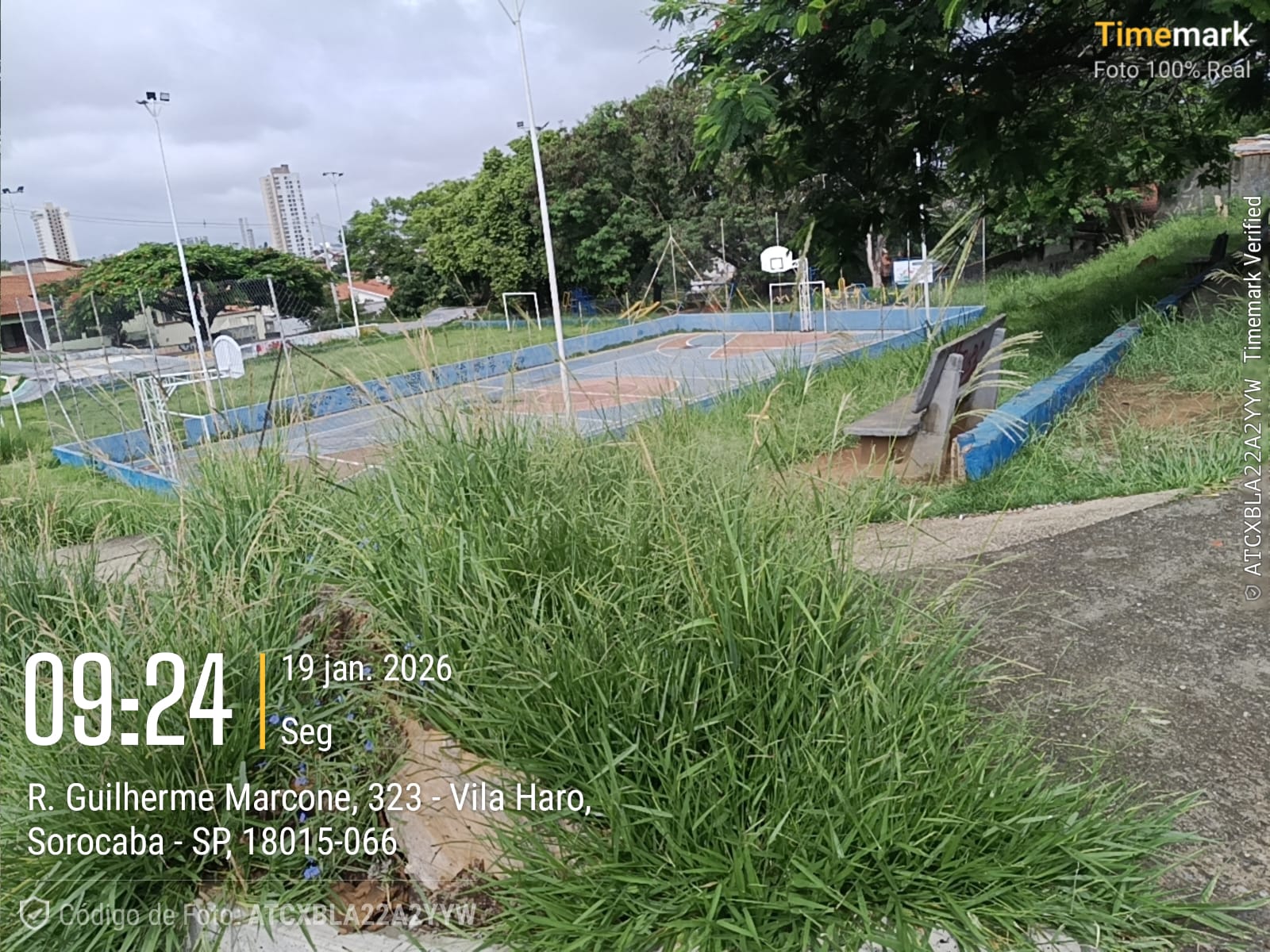 Imagem 3 da denúncia #VS-2026-52084
