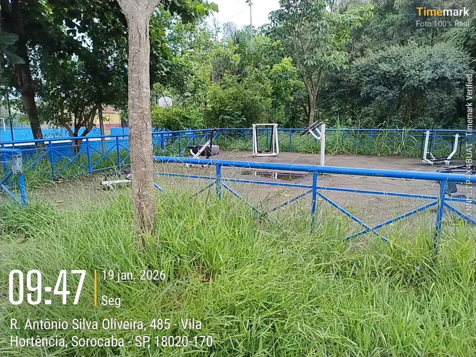 Imagem 2 da denúncia #VS-2026-52240