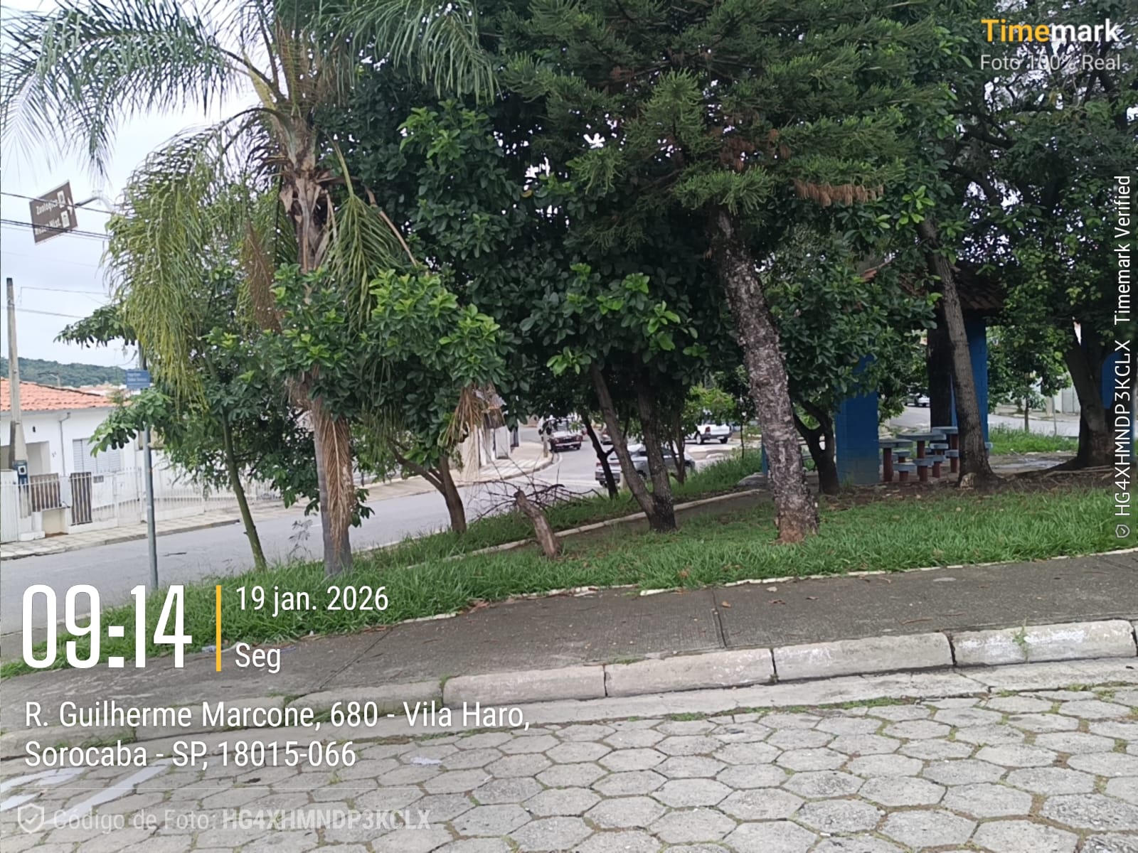 Imagem 1 da denúncia #VS-2026-52312