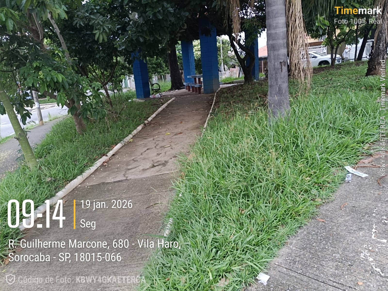 Imagem 2 da denúncia #VS-2026-52312
