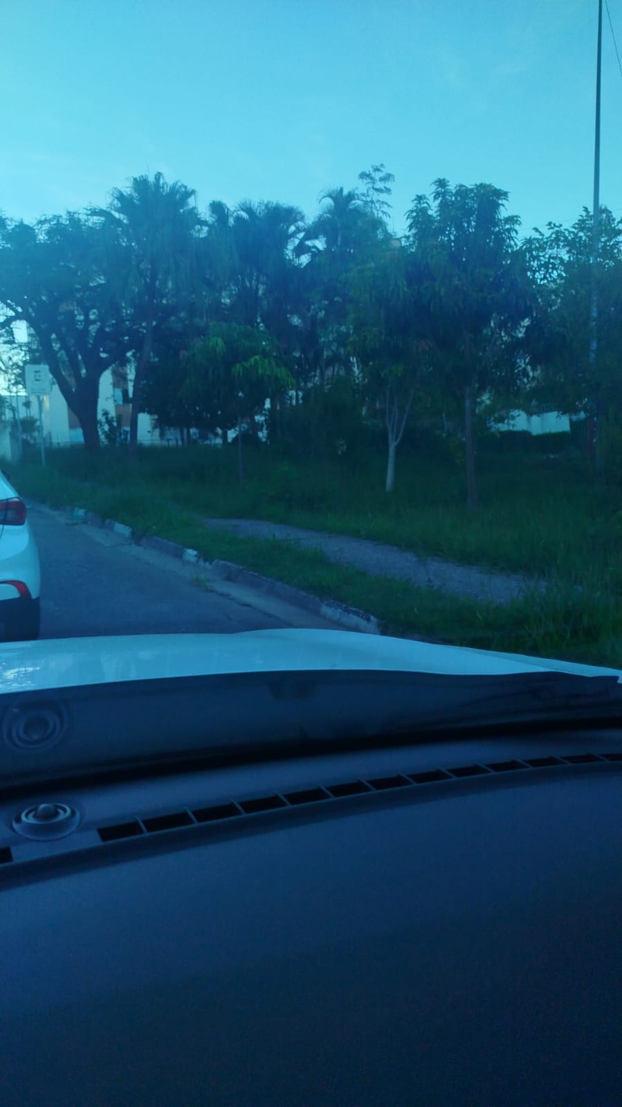 Imagem 1 da denúncia #VS-2026-52361