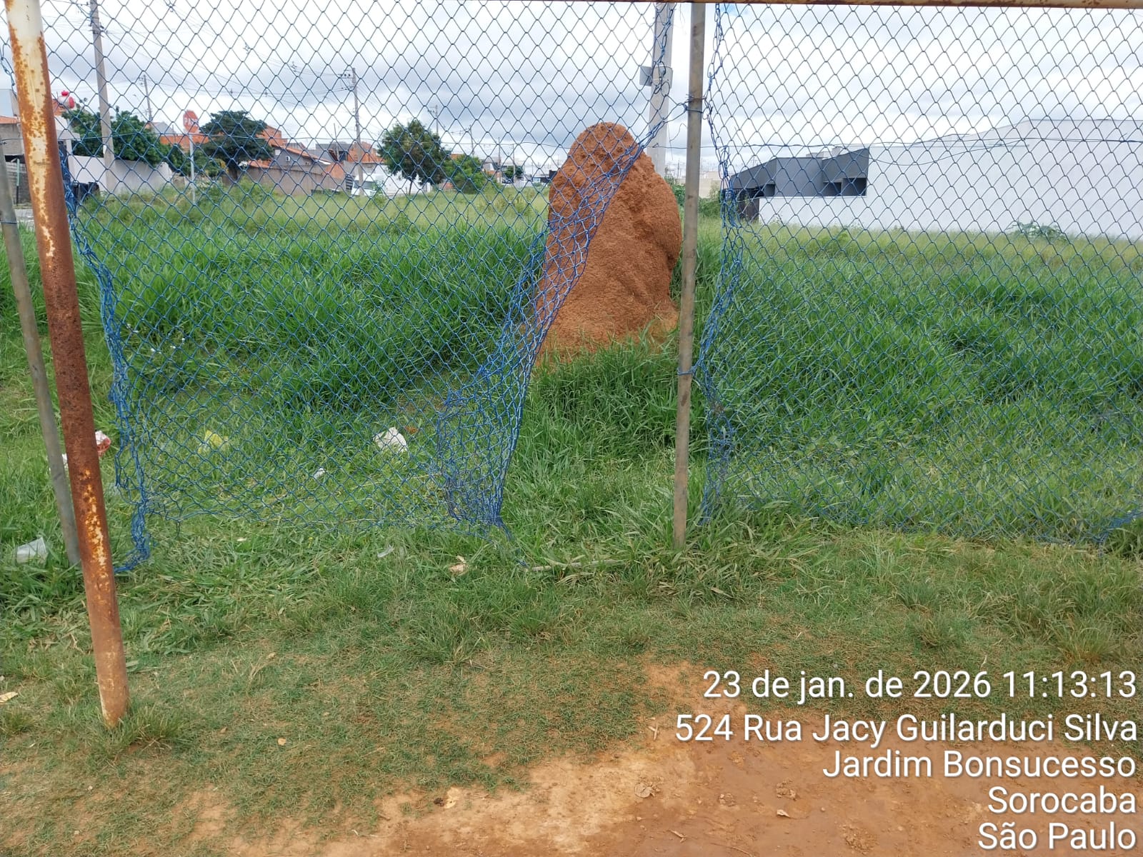 Imagem 1 da denúncia #VS-2026-52405