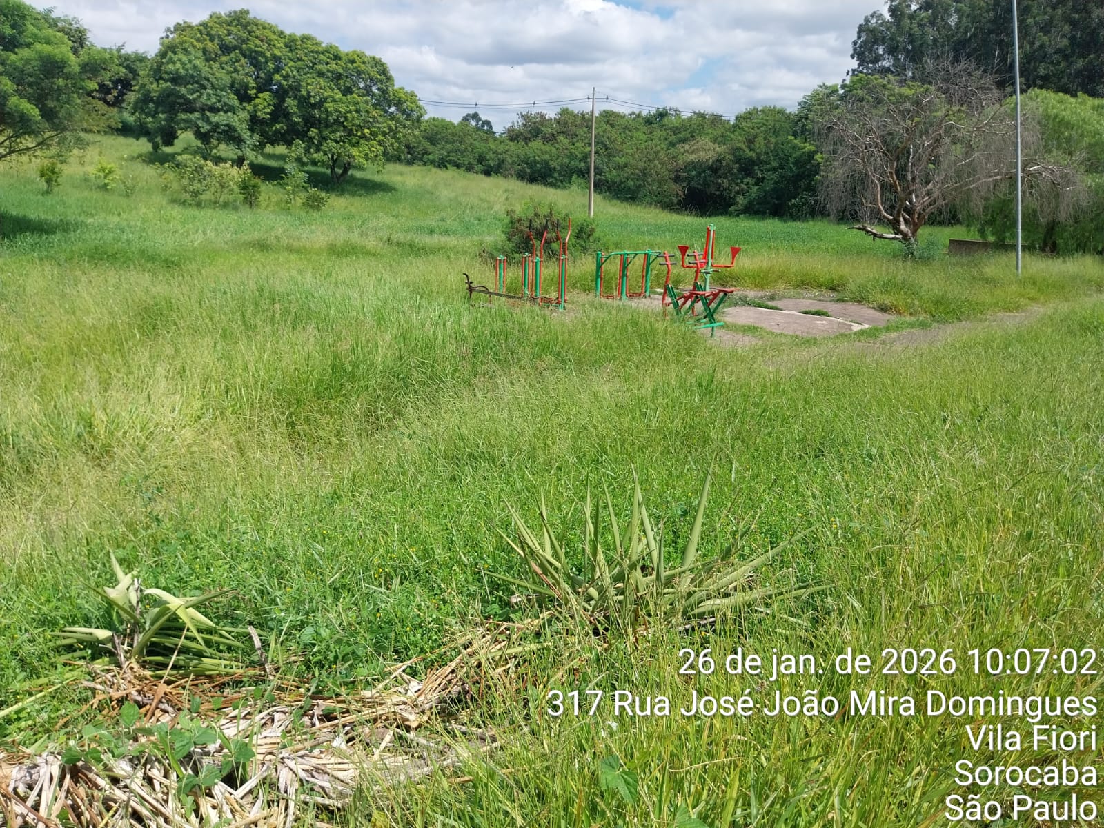 Imagem 2 da denúncia #VS-2026-52546