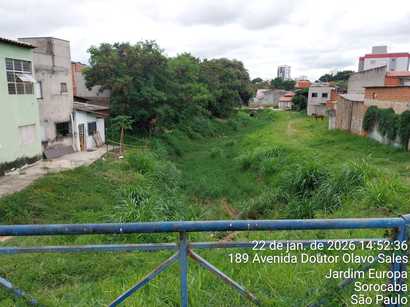 Imagem 3 da denúncia #VS-2026-52653