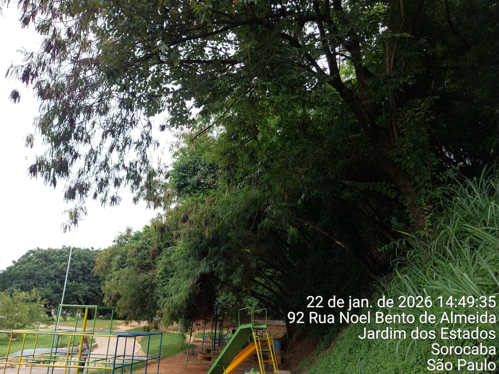 Imagem 3 da denúncia #VS-2026-52690